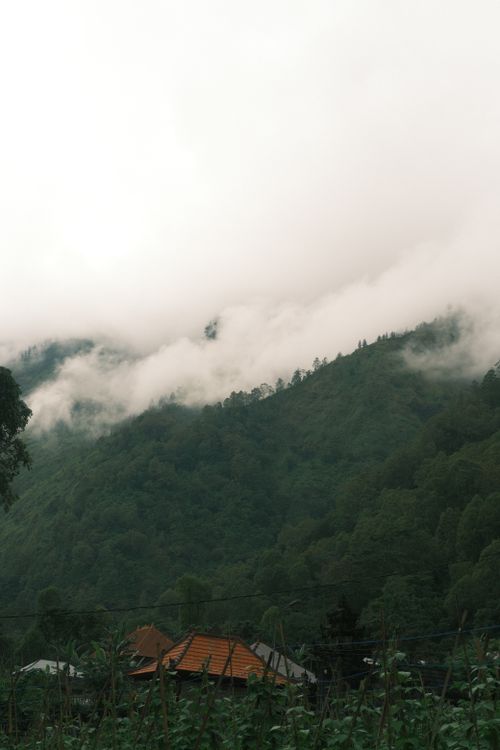 Free Scenic view of a lush green mountain partially covered in thick fog, with a small house visible below. Stock Photo