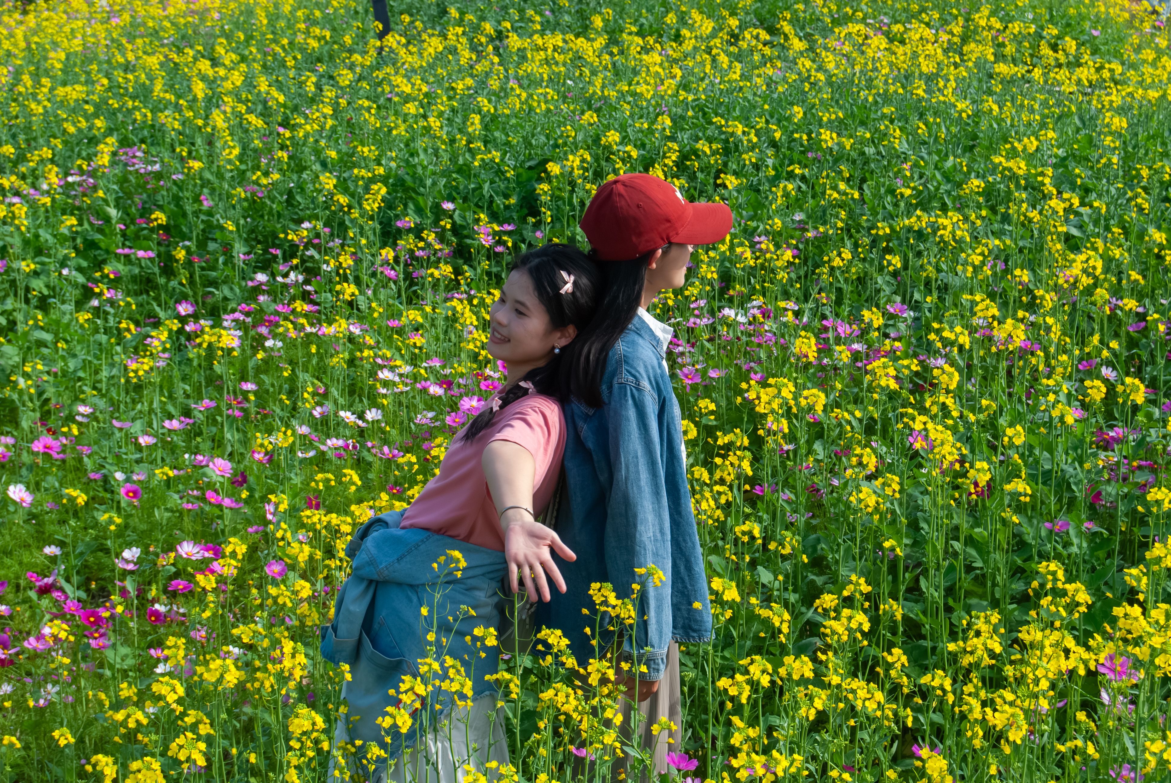 Joyful Moment in a Vibrant Flower Field · Free Stock Photo