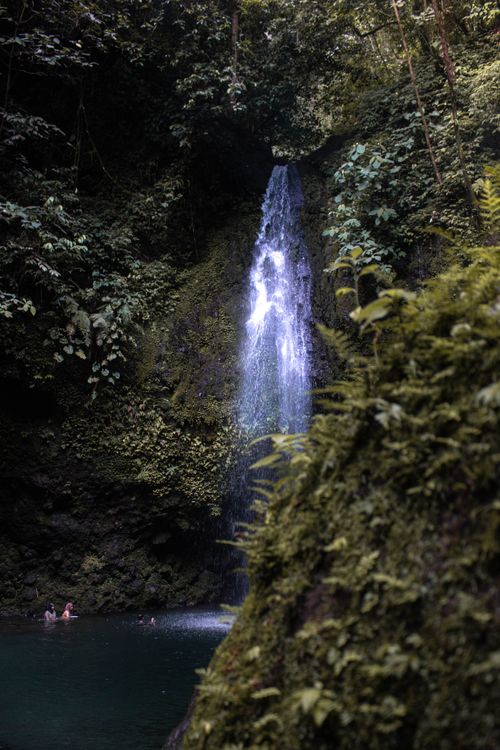 Free Captivating rainforest waterfall surrounded by lush greenery, offering a serene and tranquil setting. Stock Photo