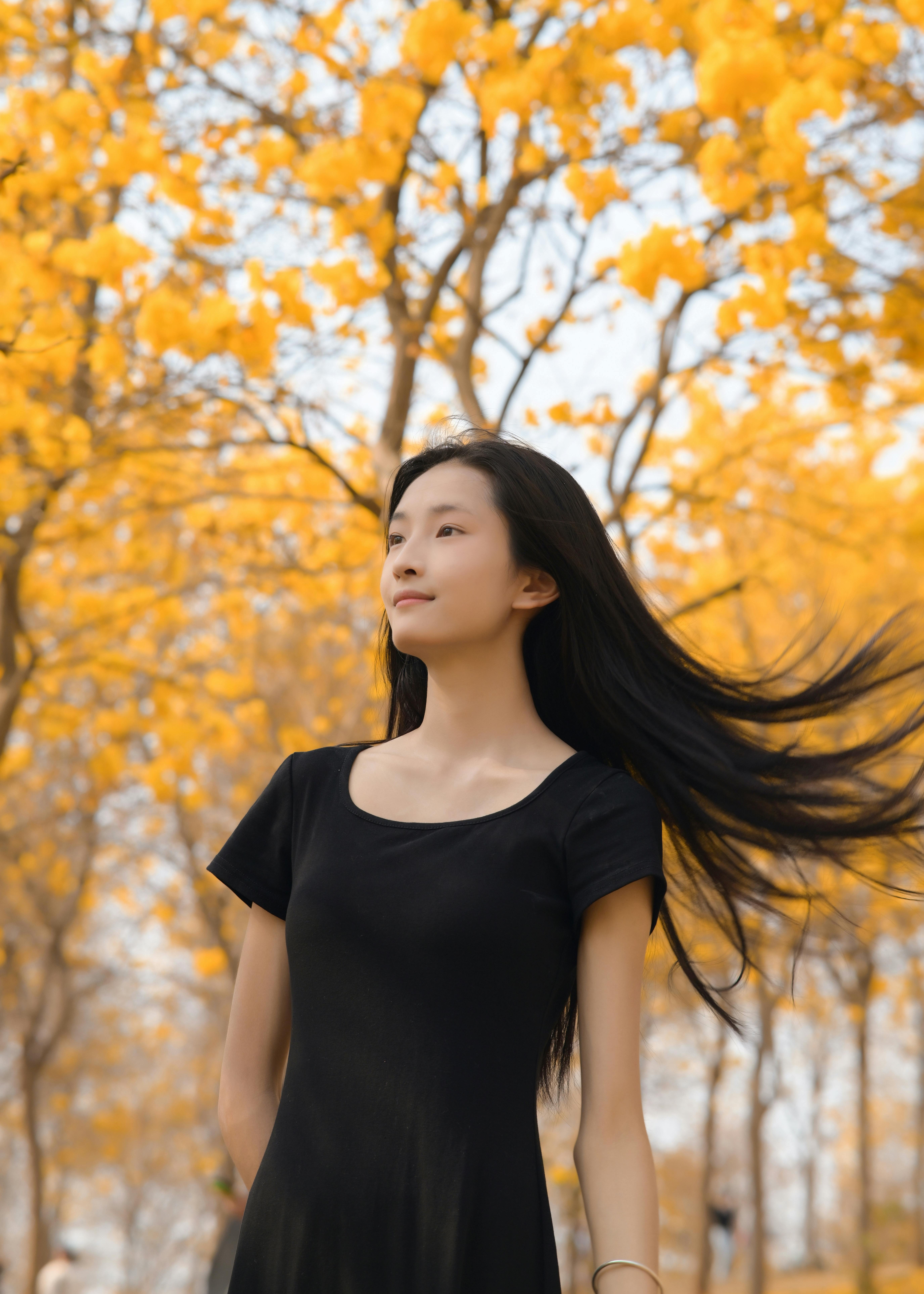 A serene walk through a park with vibrant yellow-leaved trees in fall.