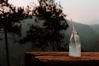 木桌上放着一个玻璃瓶，瓶上插着一根吸管，背景是雾蒙蒙的森林，构成了一幅宁静的场景