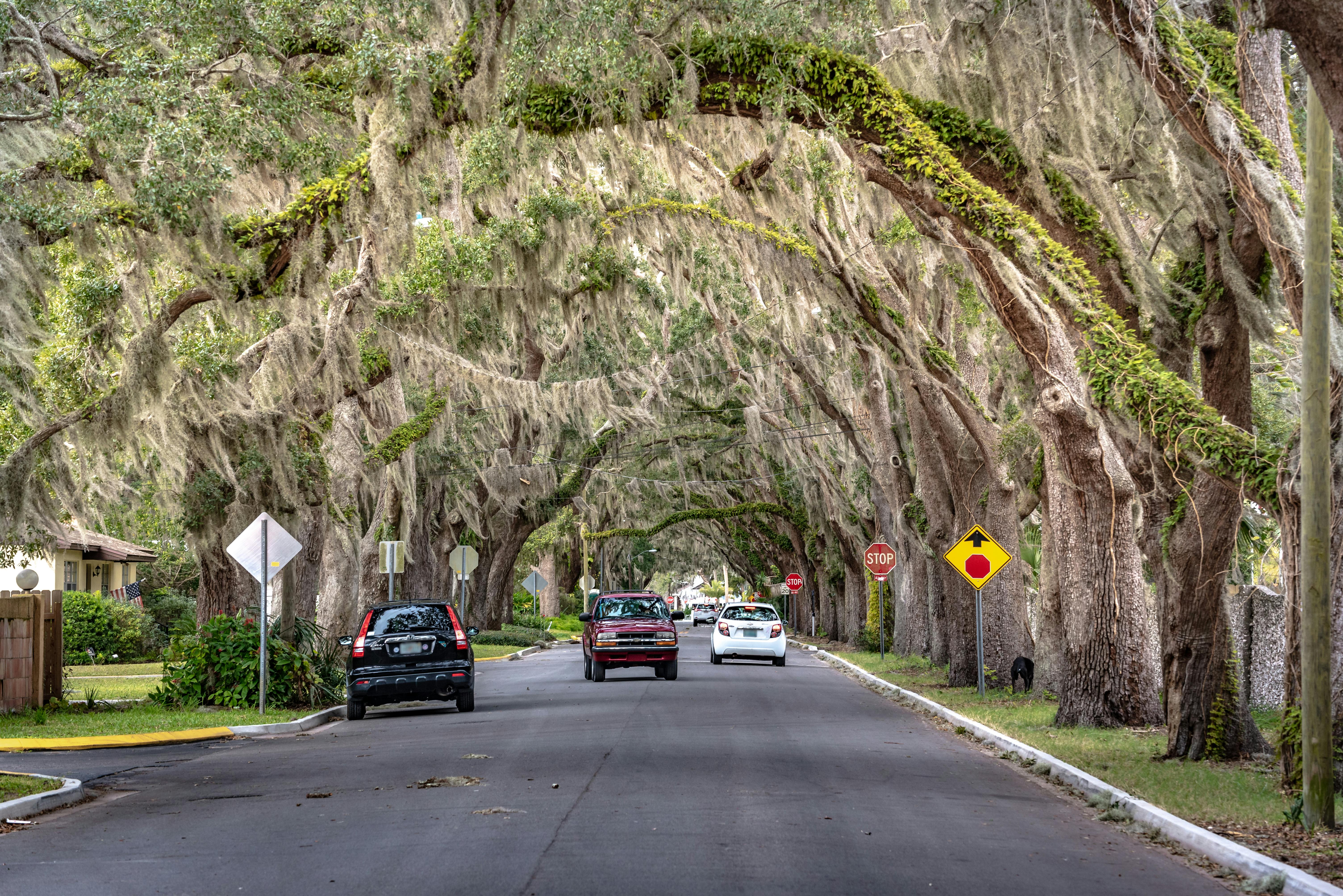 Photo of St. Augustine