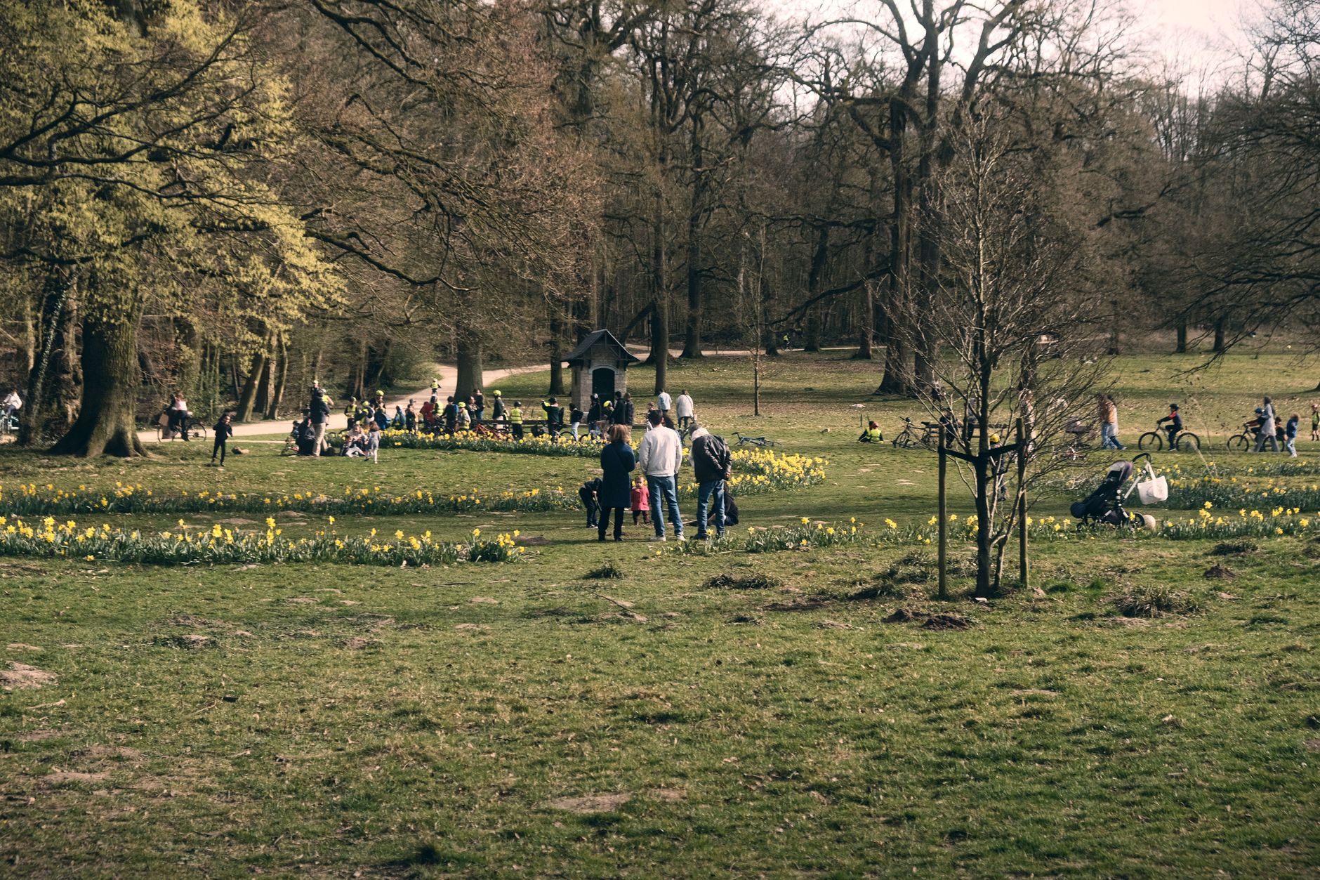 April in Bratislava: Best Outdoor Trails, Parks & Nature Spots Near Your Hostel