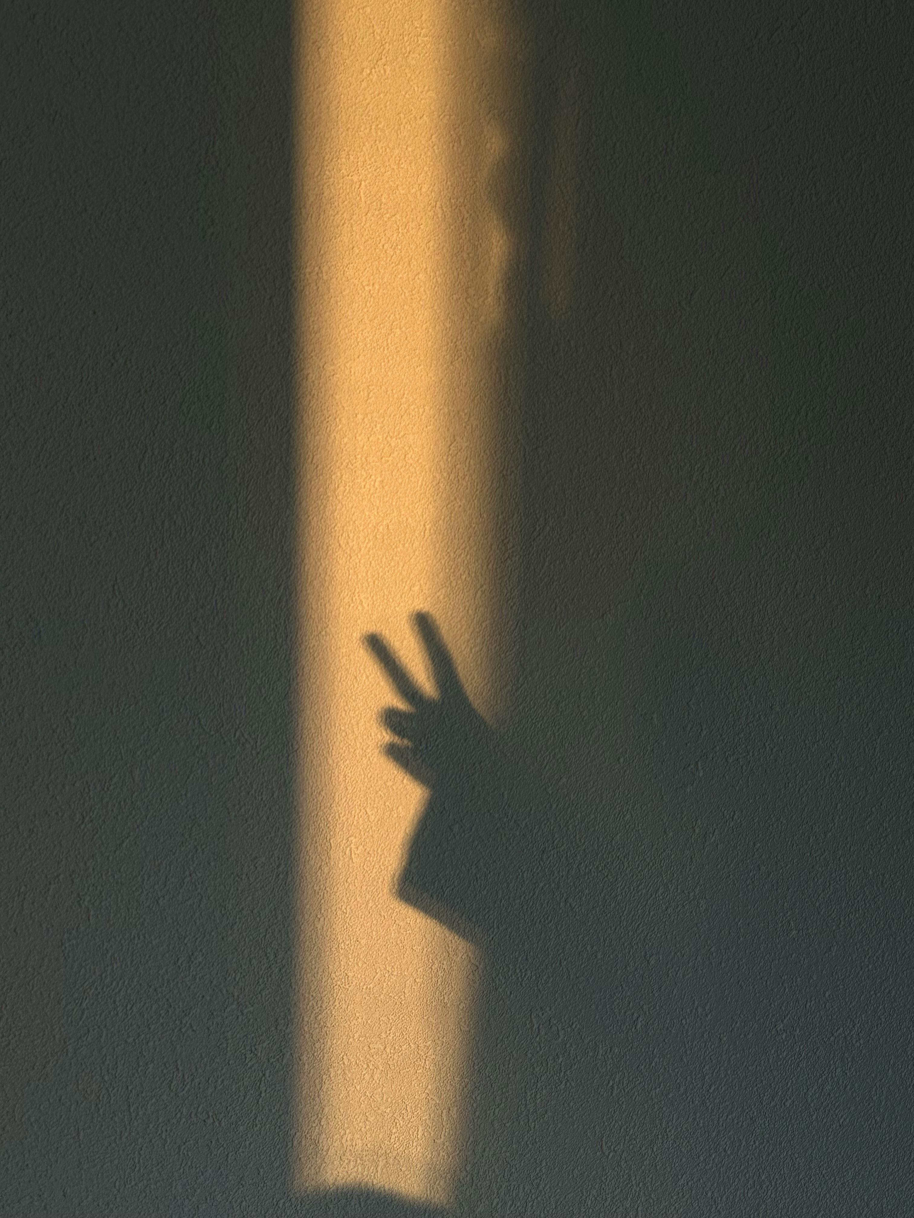 grátis Silhueta de uma mão fazendo sinal de paz contra uma parede iluminada pela luz do sol. Foto profissional