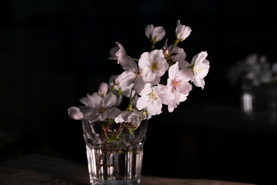 circle|fragile vase