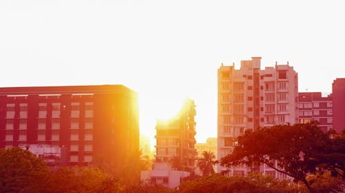 Free stock photo of indian, photography, street