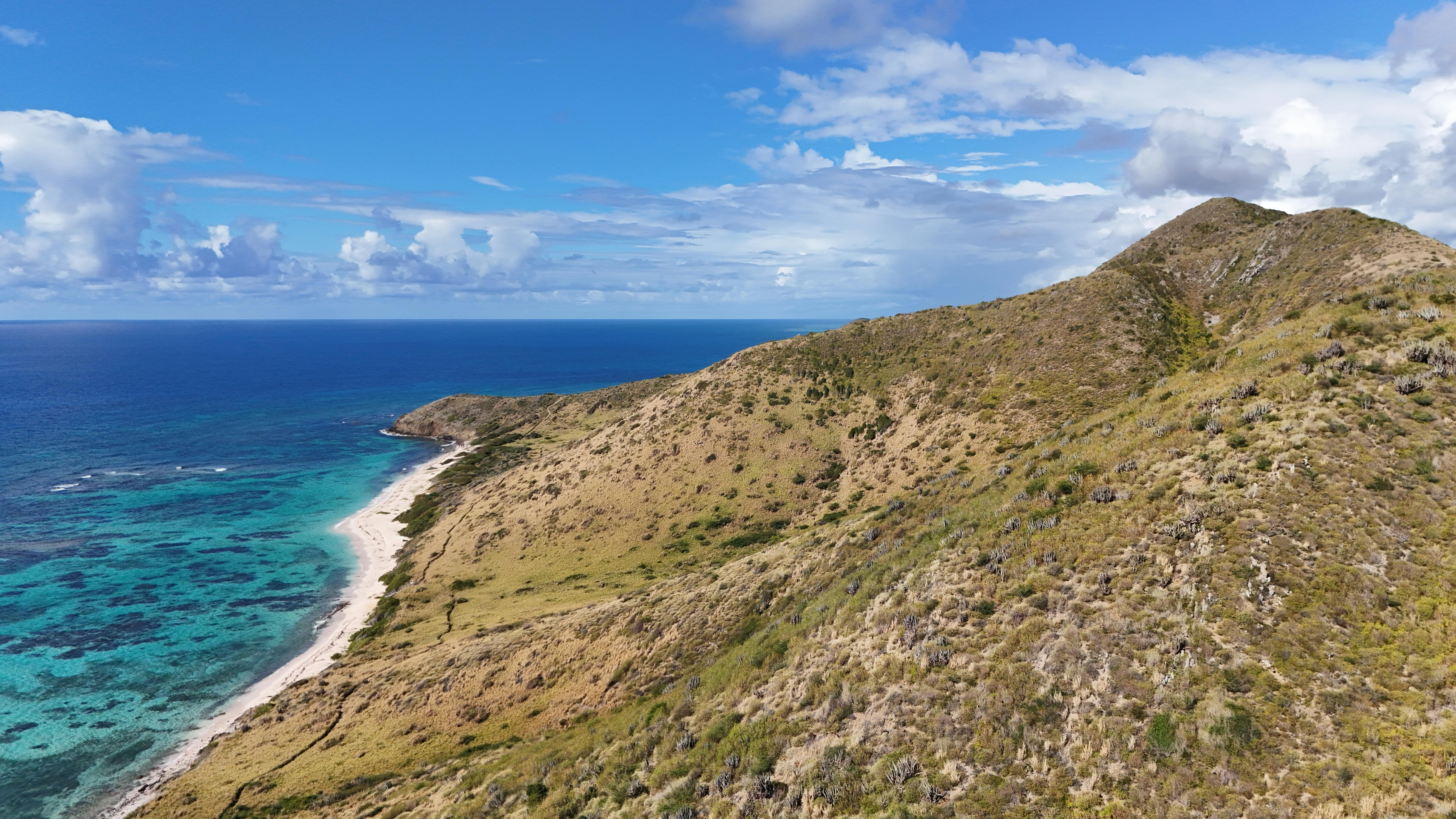 Vivid aerial shot of St. Croix's rugged coastline and clear blue waters under a bright sky.