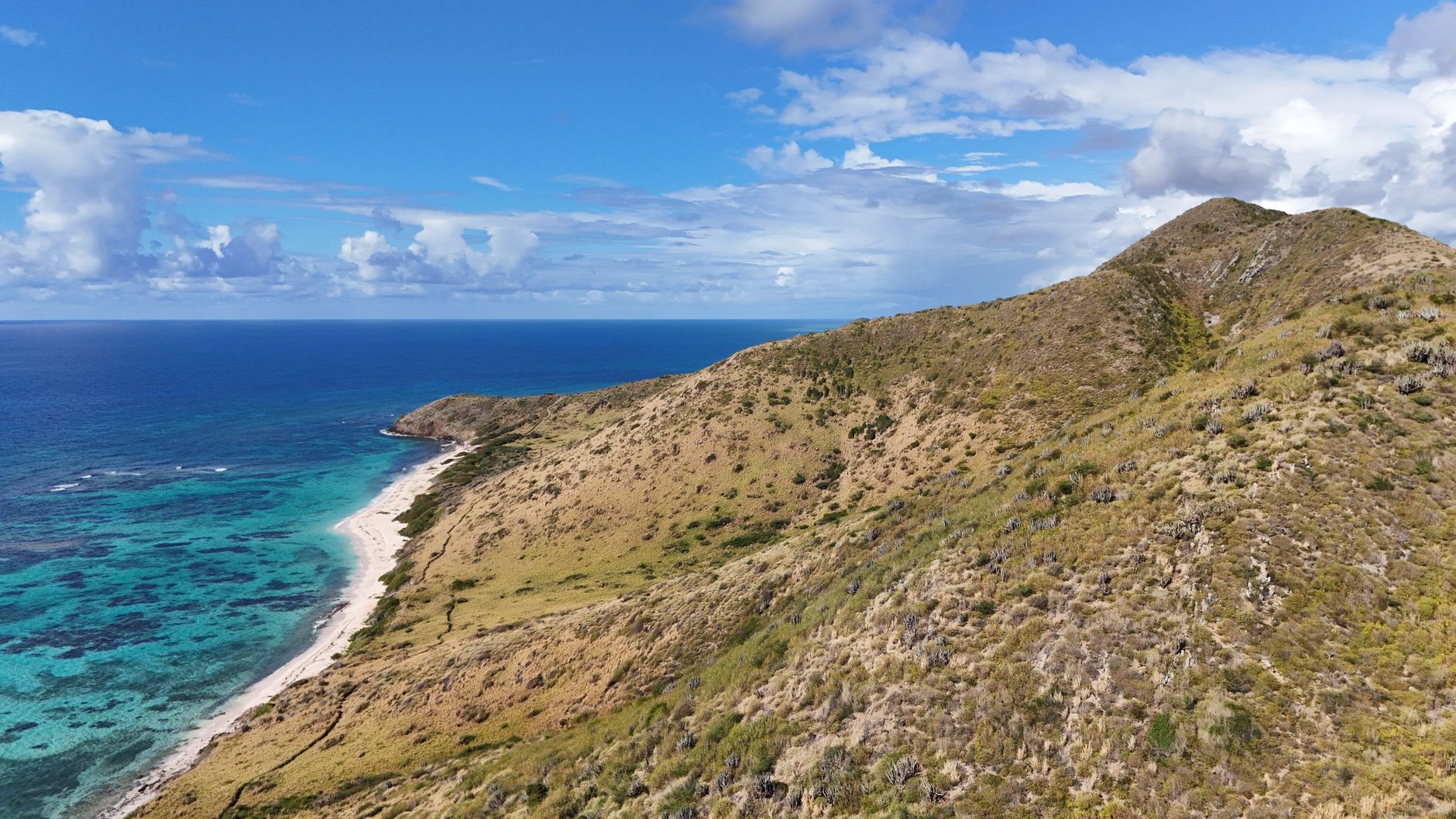 Vivid aerial shot of St. Croix's rugged coastline and clear blue waters under a bright sky.