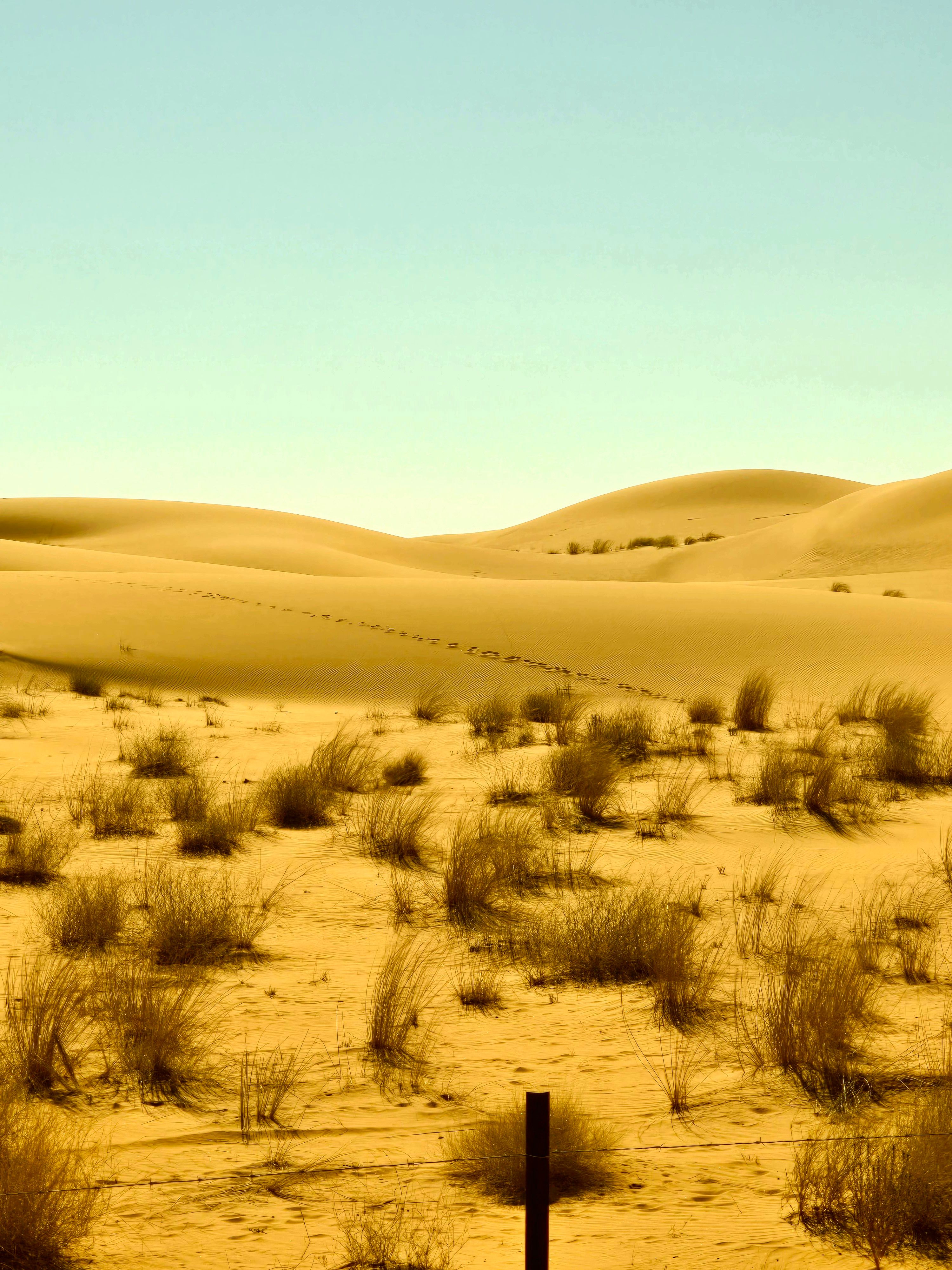 Dune Di Sabbia. Paesaggio Del Deserto Fotografia Stock - Immagine Di Dune Di Sabbia Paesaggio Del Deserto Image35385096