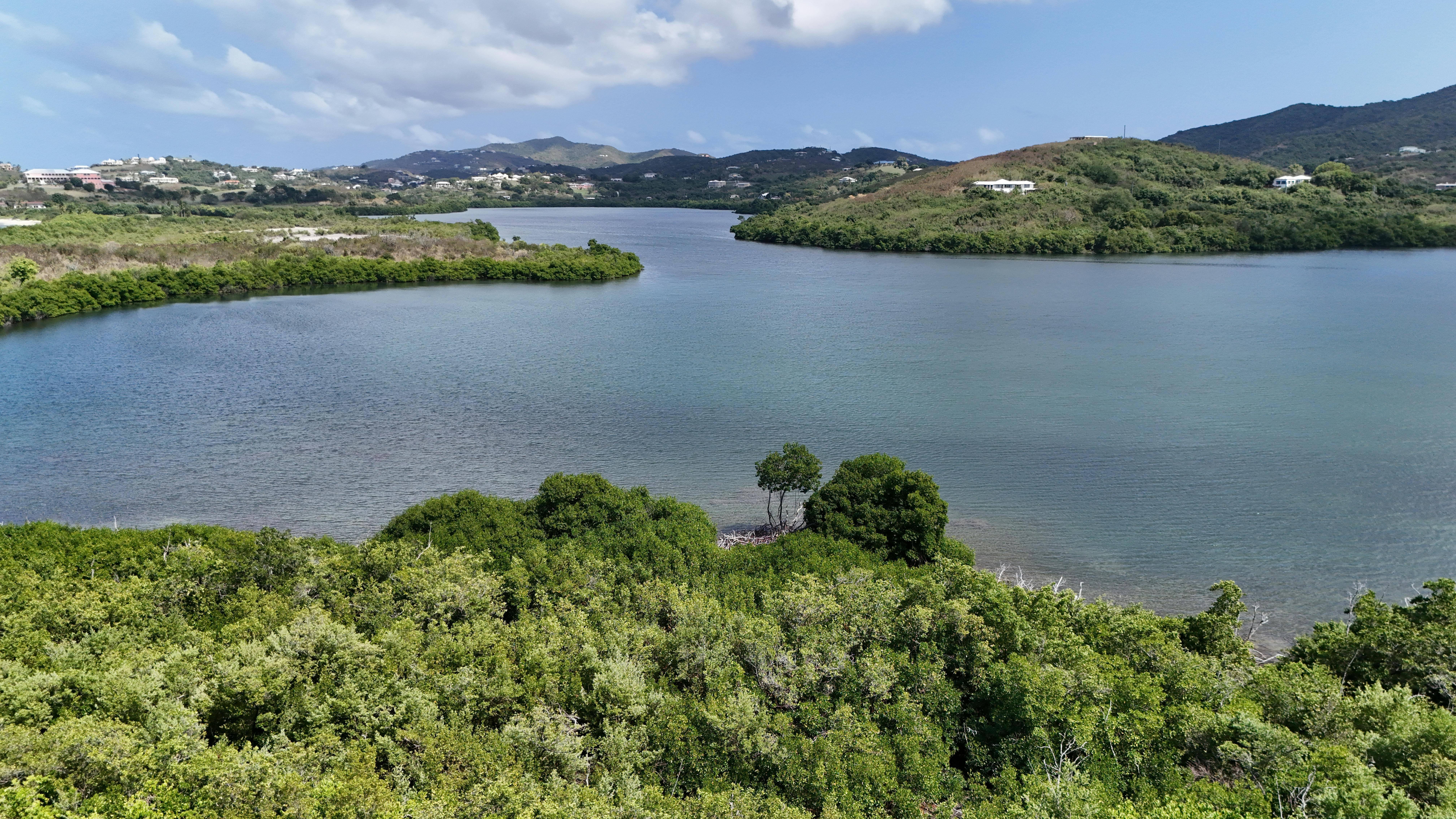 Photo of U.S. Virgin Islands
