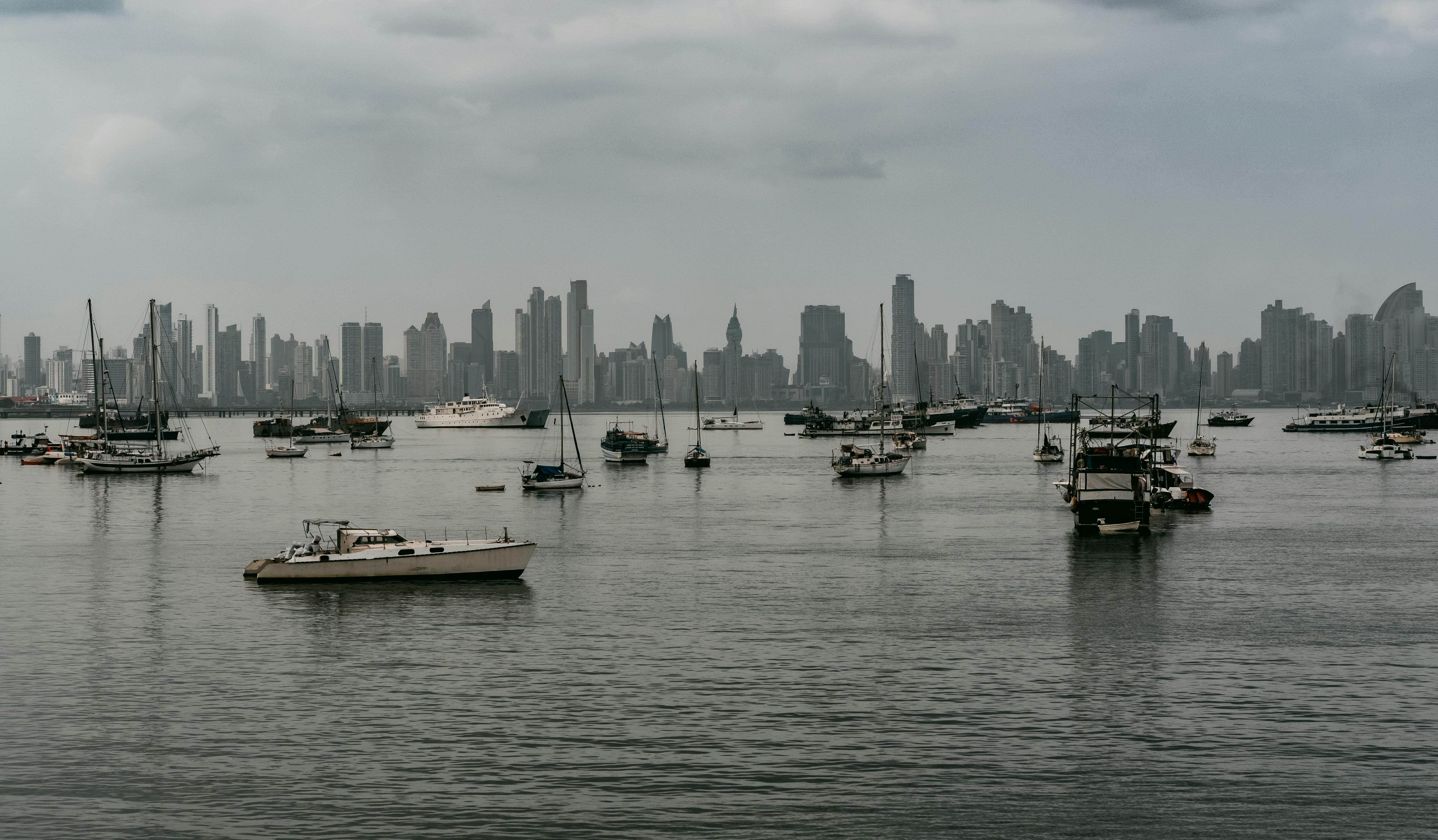 Port Panama City begins search for new executive director — Photo by Wilder stiven Cardona lopera on Pexels