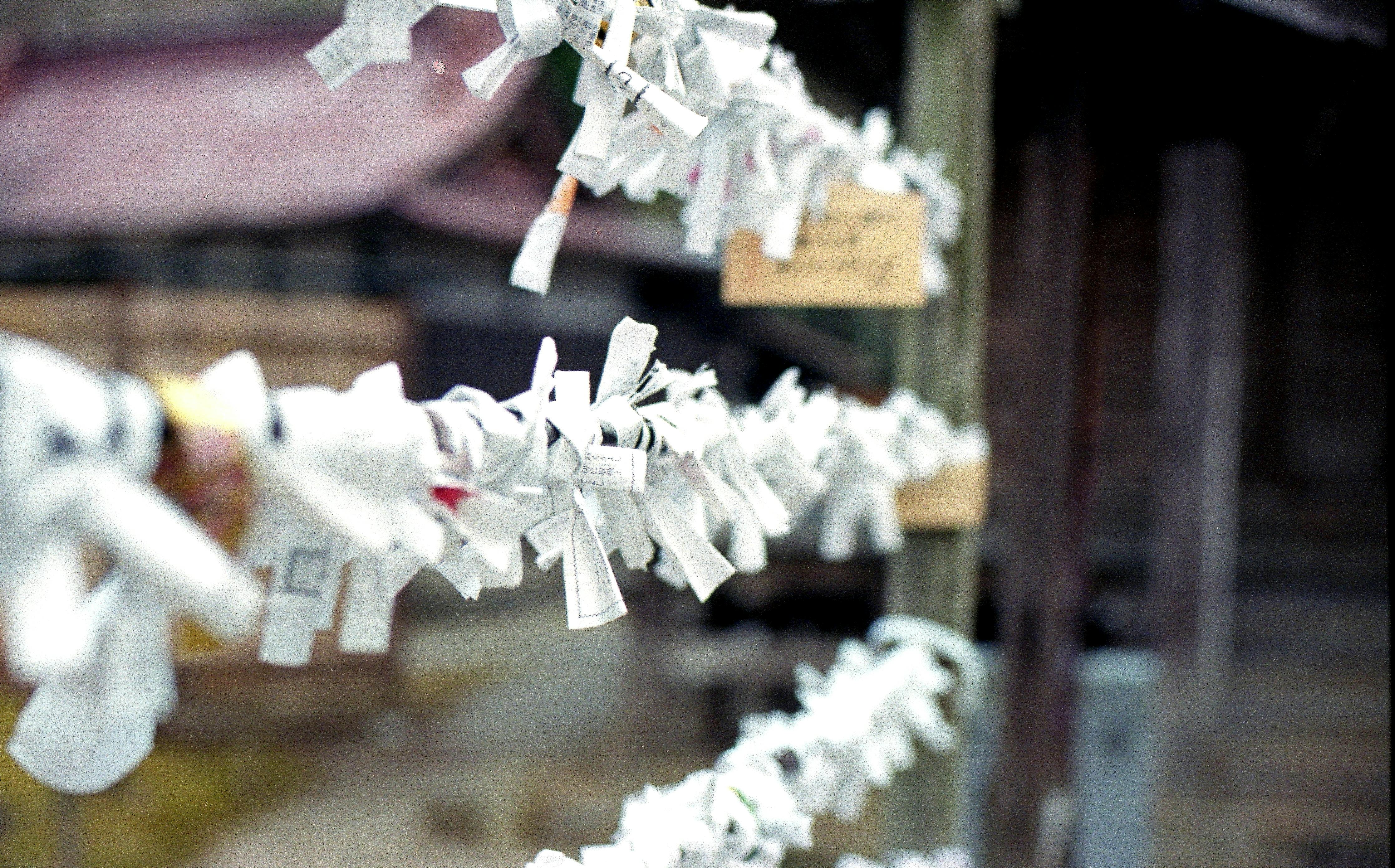 蘆洲湧蓮寺國運籤出爐！政治、商業「下下籤」