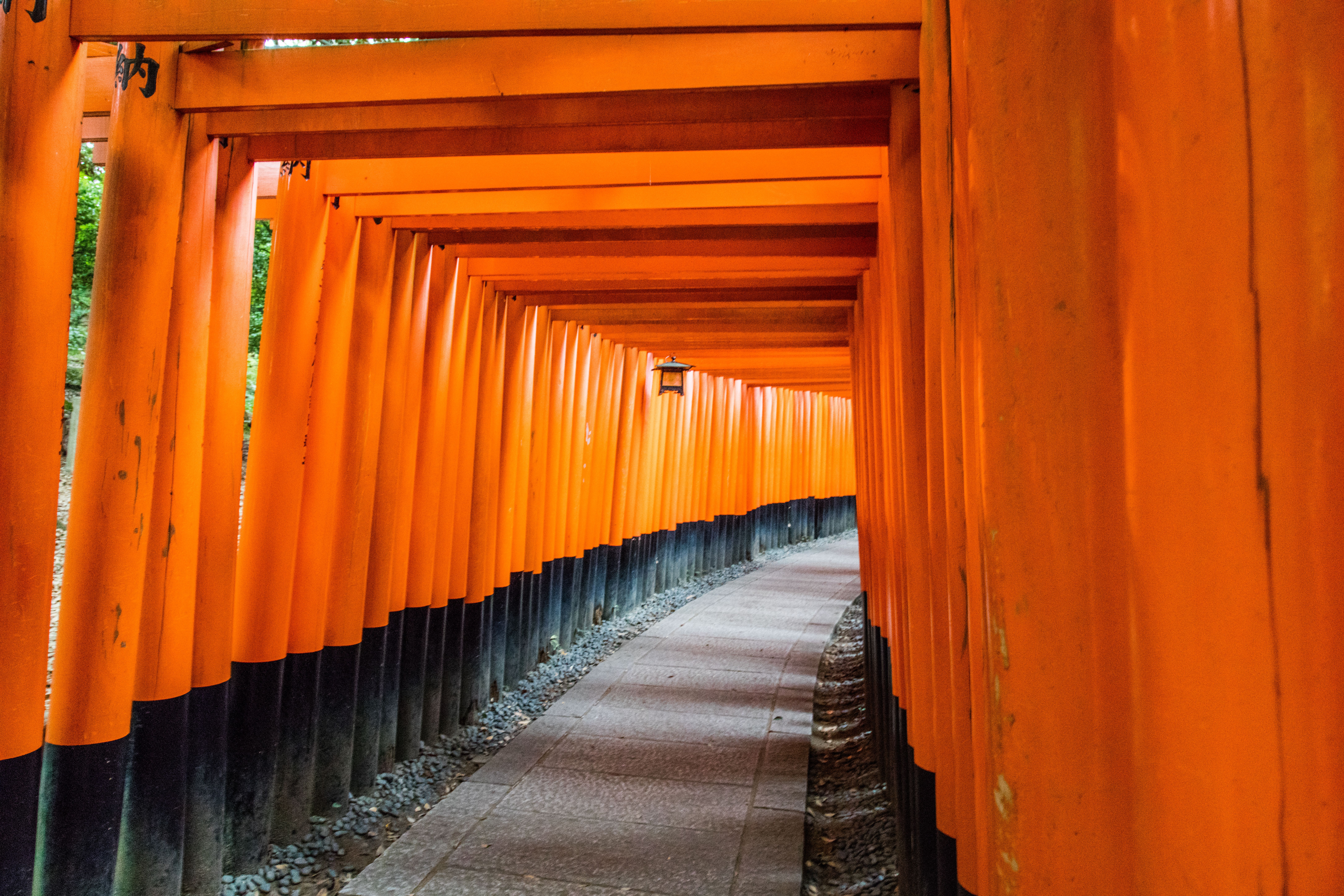 Kyoto, Japon - idée de voyage