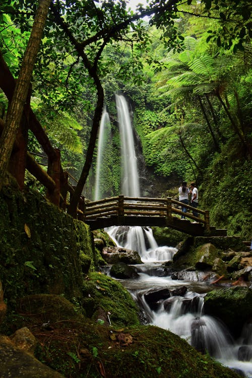Gratis Jembatan Kayu Dengan Pemandangan Air Terjun Dan Pepohonan Di Hutan Tropis Foto Stok