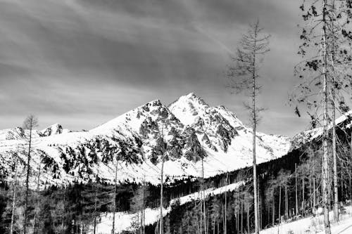 Cảnh Núi Tuyết Trong ảnh đơn Sắc