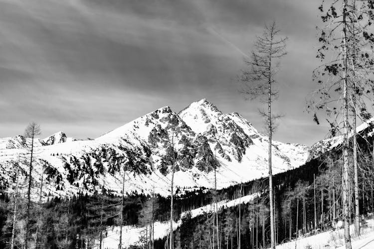 Snowy Mountain View In Monochrome Photo