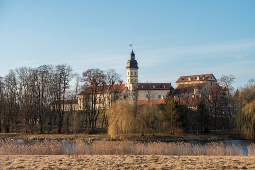 Free Scenic view of a historic castle with trees and a pond in a serene landscape. Stock Photo