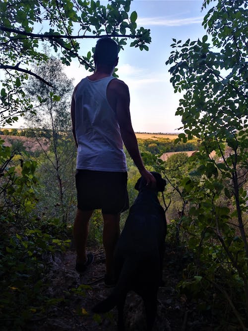 Free stock photo of beautiful landscape, beauty of nature, black dog