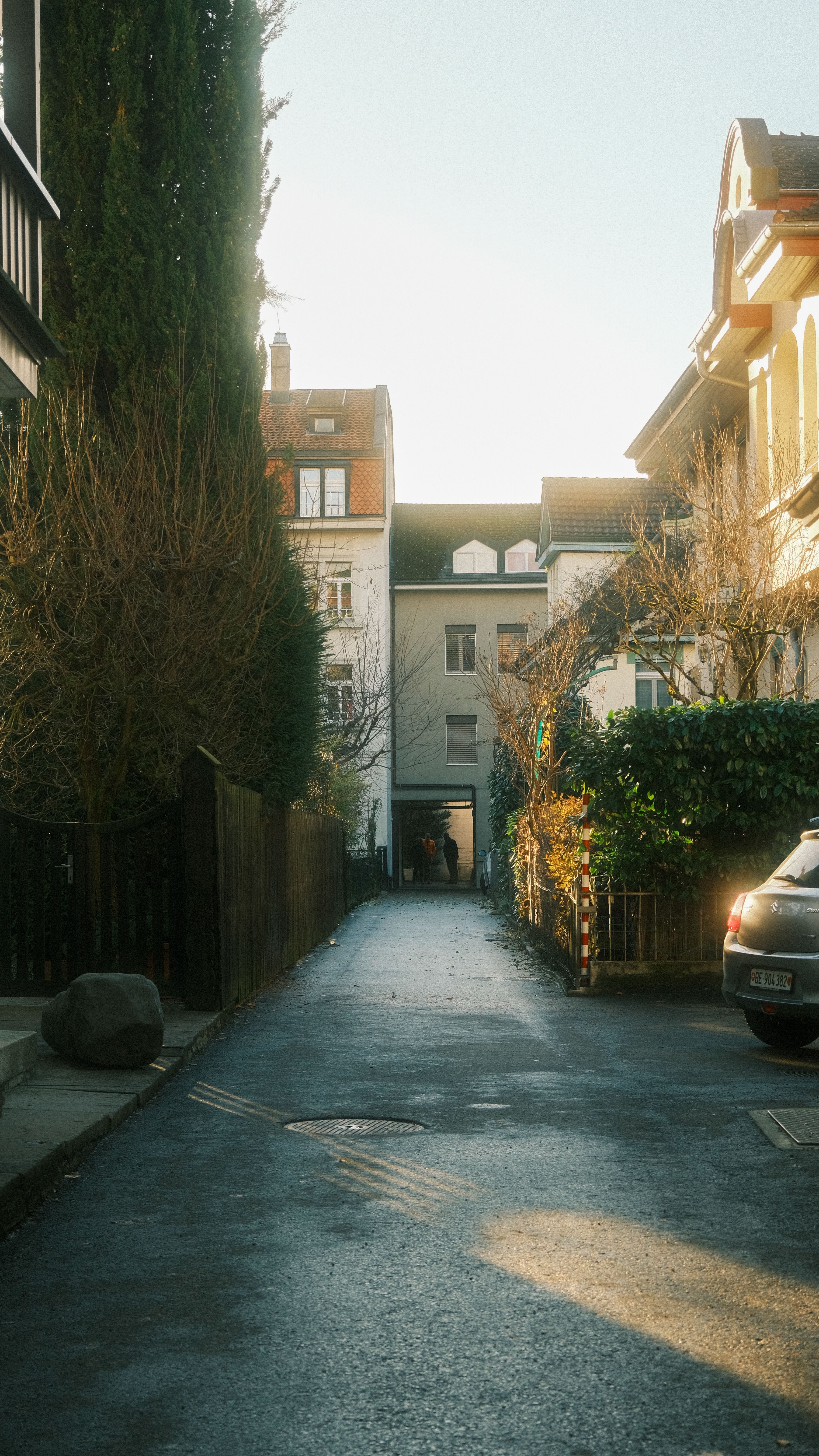 Quiet Residential Street in Morning Light · Free Stock Photo