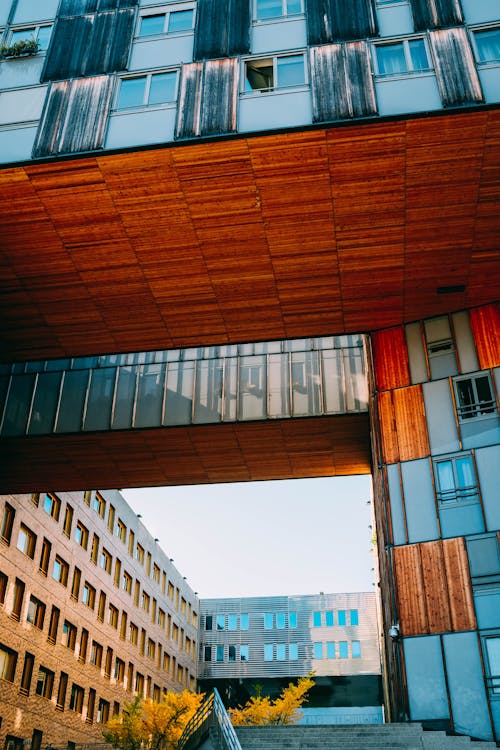 Free Low Angle Shot Of A Modern  Building With Brown and Blue Glass Exterior Stock Photo