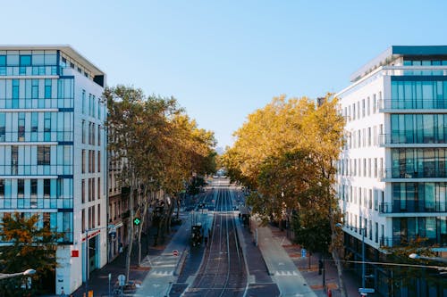 Hoge Hoek Opname Van Een Stadsstraat Omzoomd Met Bomen Tussen Twee Moderne Gebouwen