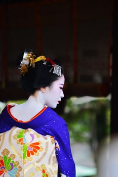 A graceful maiko captured in traditional kimono from behind, showcasing elegant details.