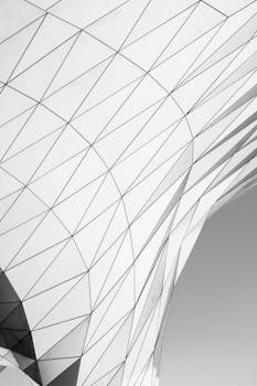展示黑白抽象建筑设计的现代几何图案