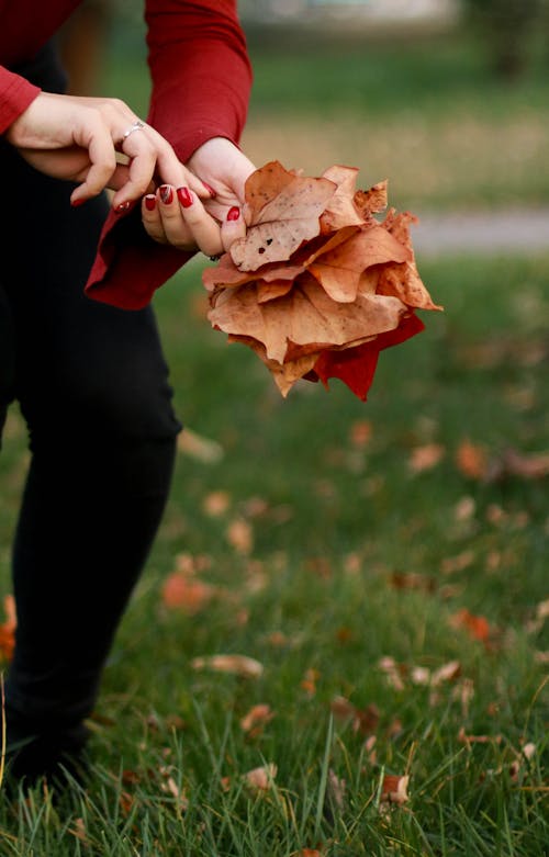 Close-up Of A Woman's Hand Holding Dried Leaves