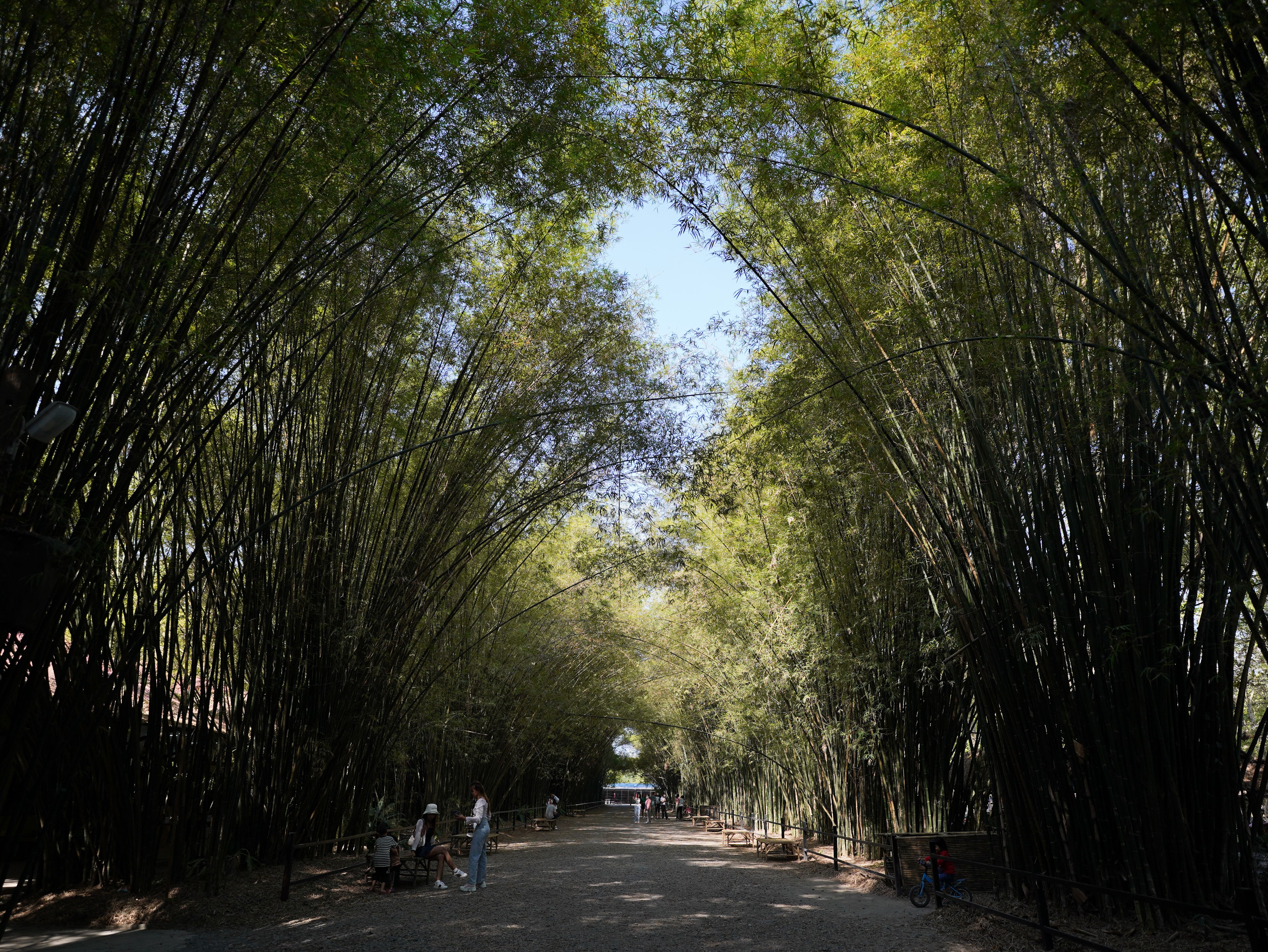 Vivero