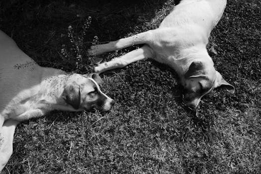  Substack Bikin Fitur Mirip TikTok - fitur 2