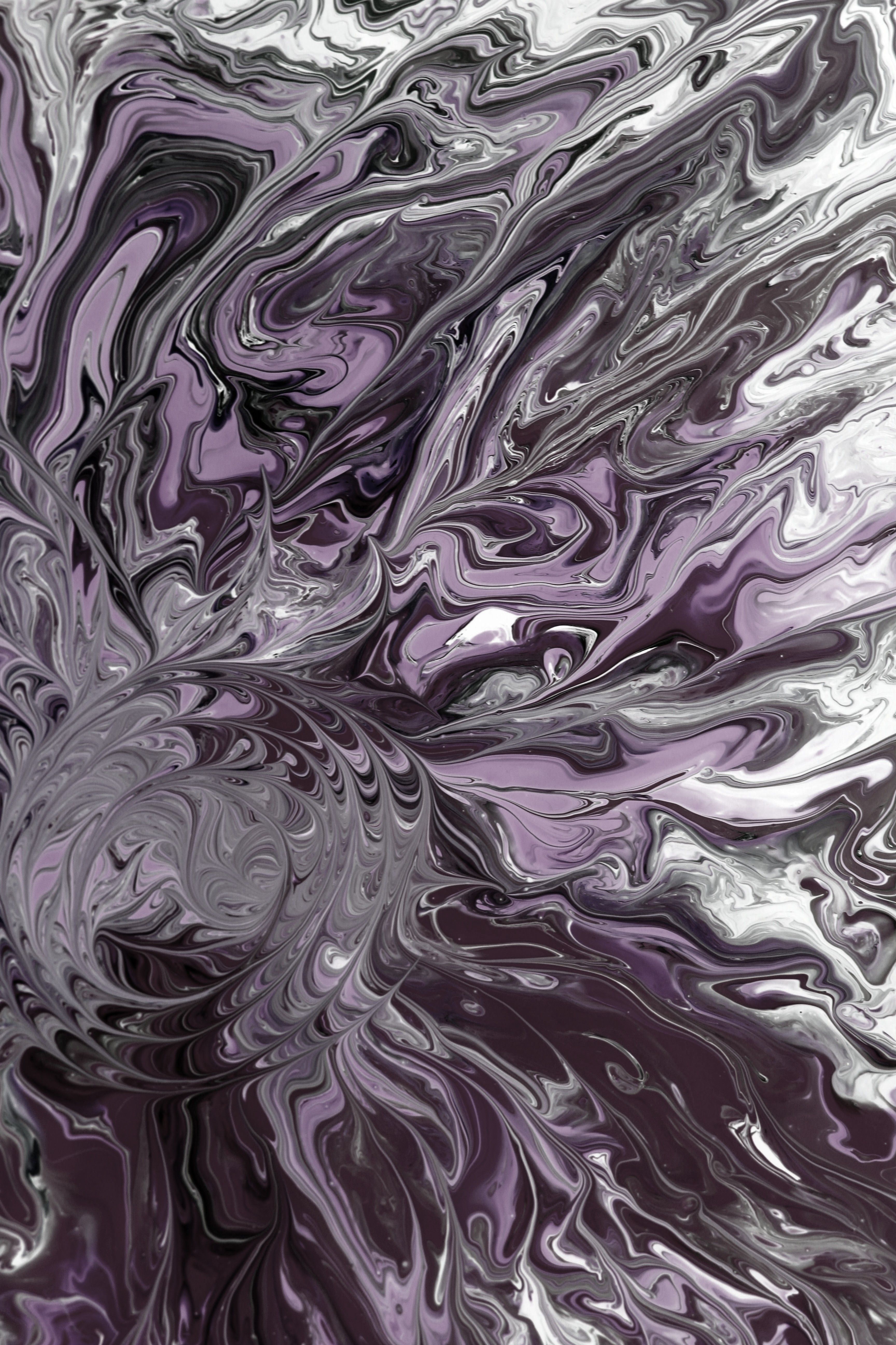 Abstract Swirling Patterns in Purple and White · Free Stock Photo