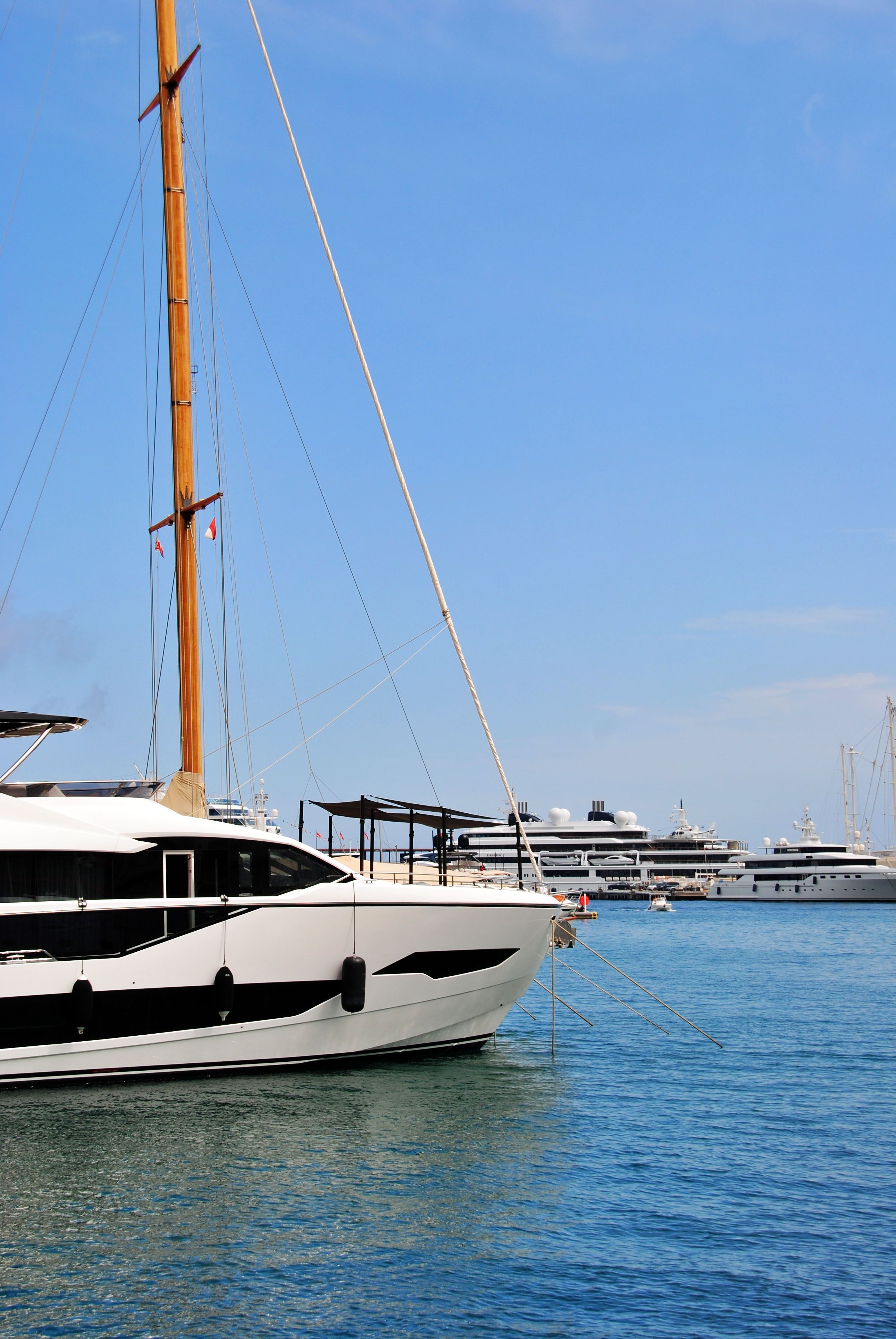 Couverture : Investing in Monaco property