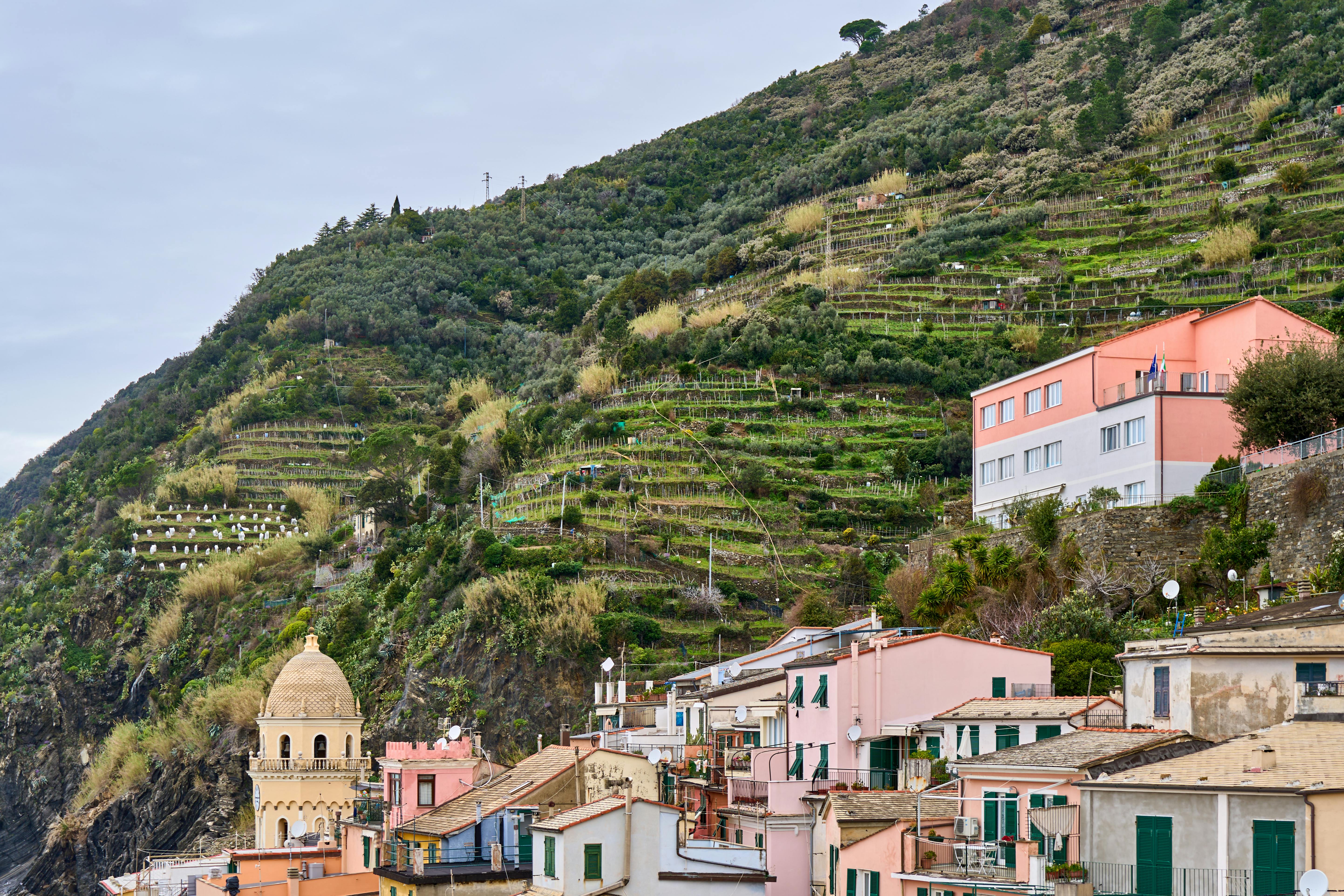 Genova grows revenue and NAV but income from property management declines — Photo by Gotta Be Worth It on Pexels