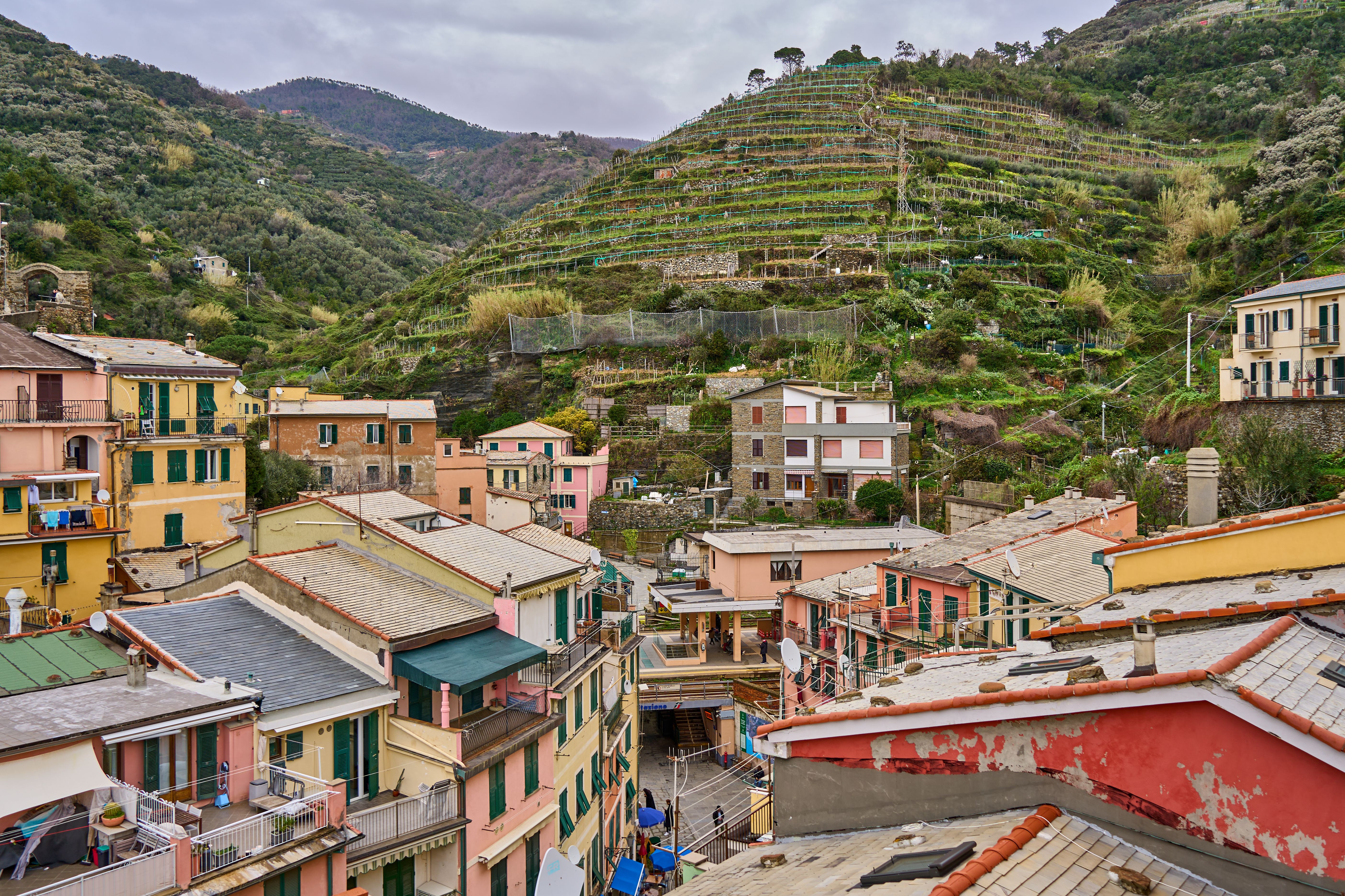 Vernazza Terraced Vineyards & Sciacchetrà Wine