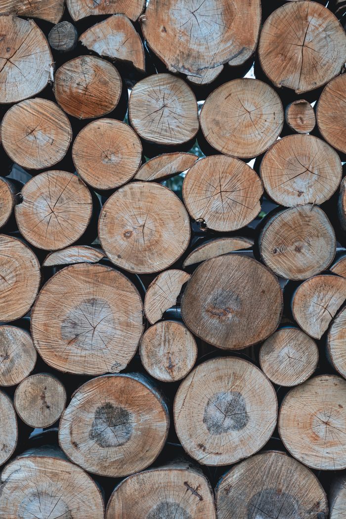 Troncos de madera apilados