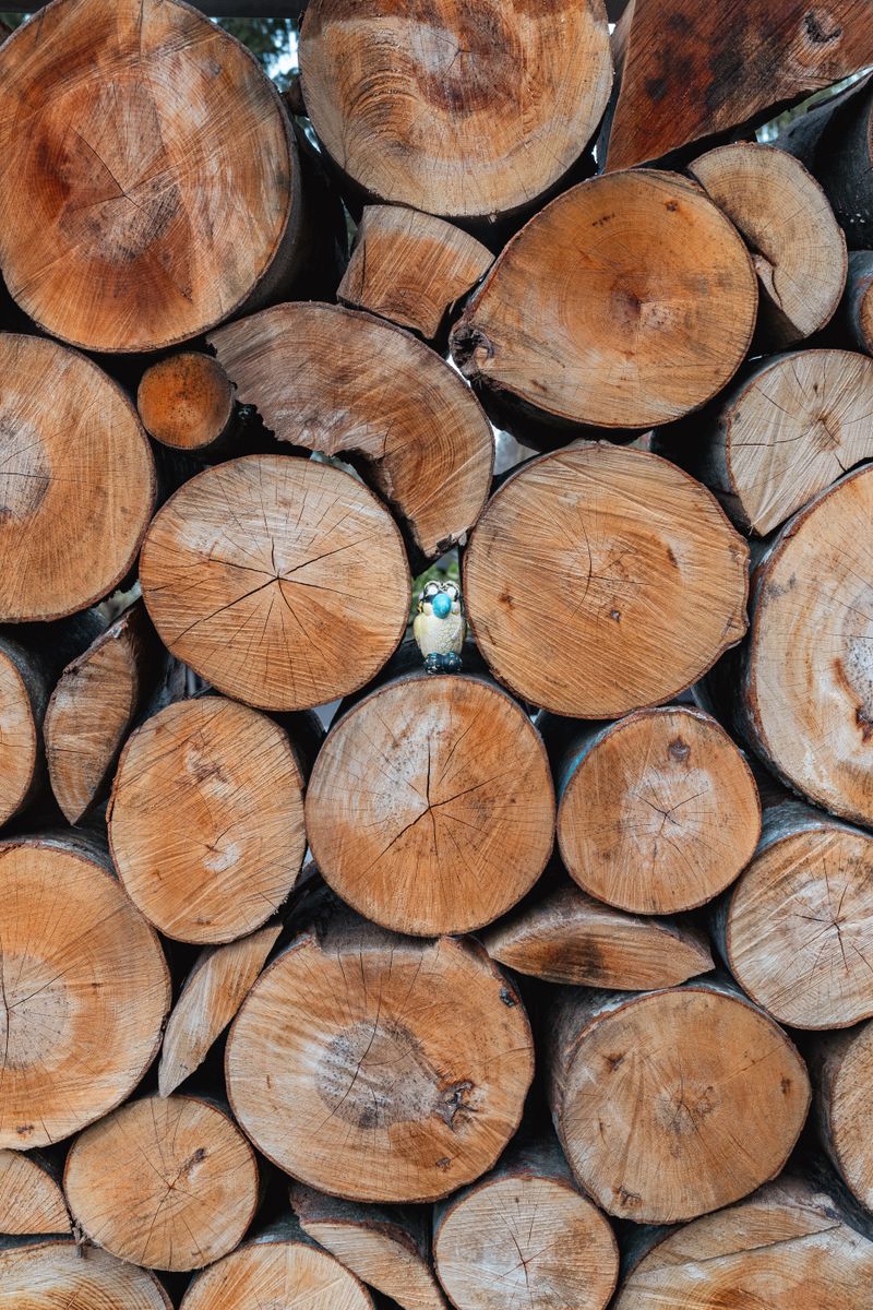Bûches rangées avec des motifs de bois naturels