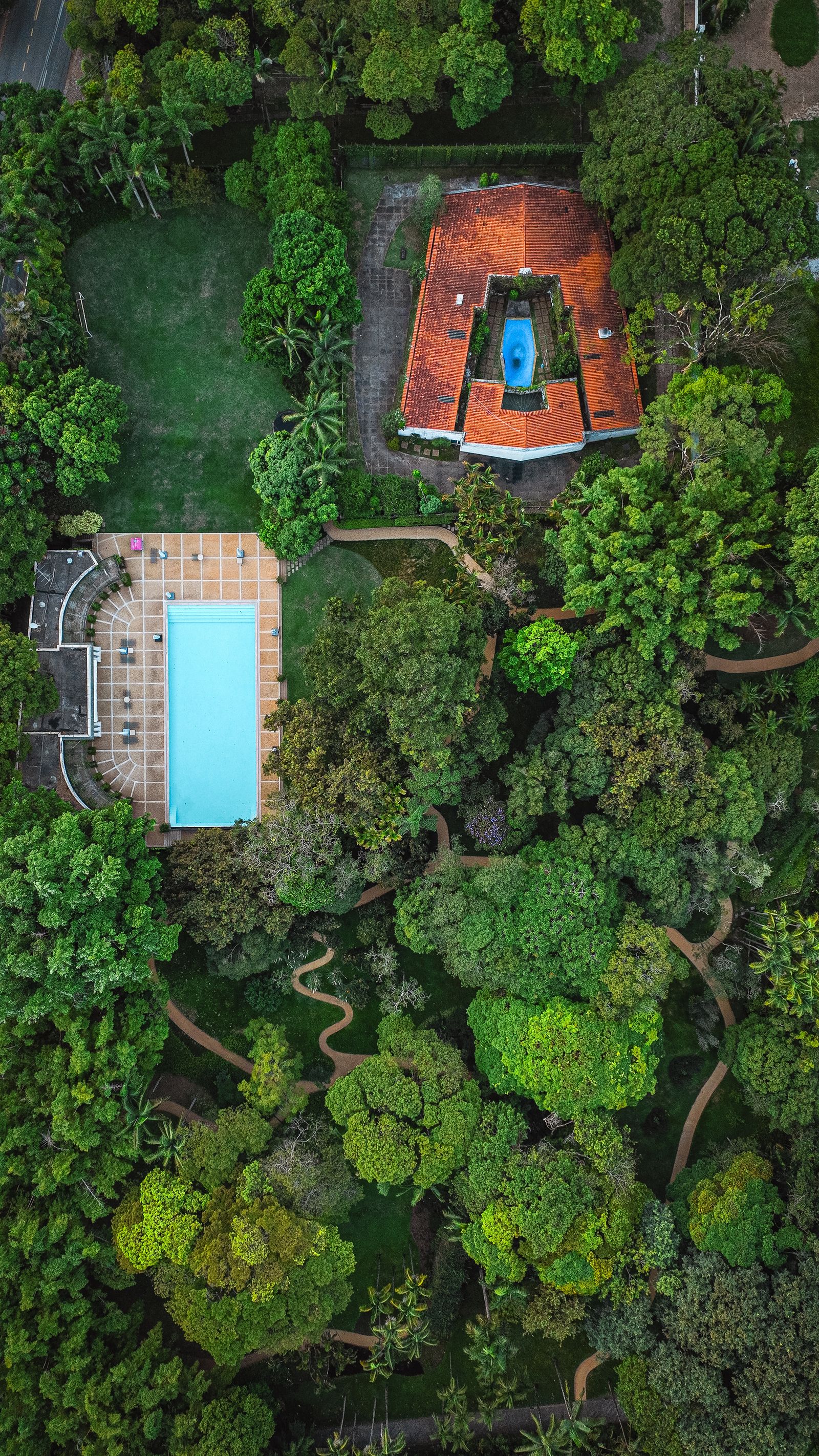 Vista aérea de piscina residencial rodeada de vegetación