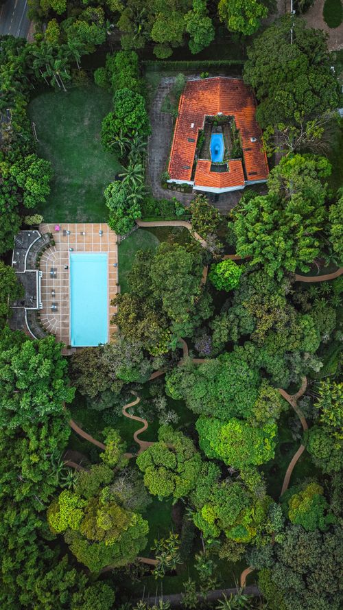 View from above of a landscaped villa garden with a pool