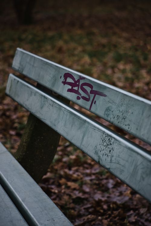 Free Close-up of a park bench with graffiti surrounded by fallen leaves, evoking a nostalgic autumn mood. Stock Photo