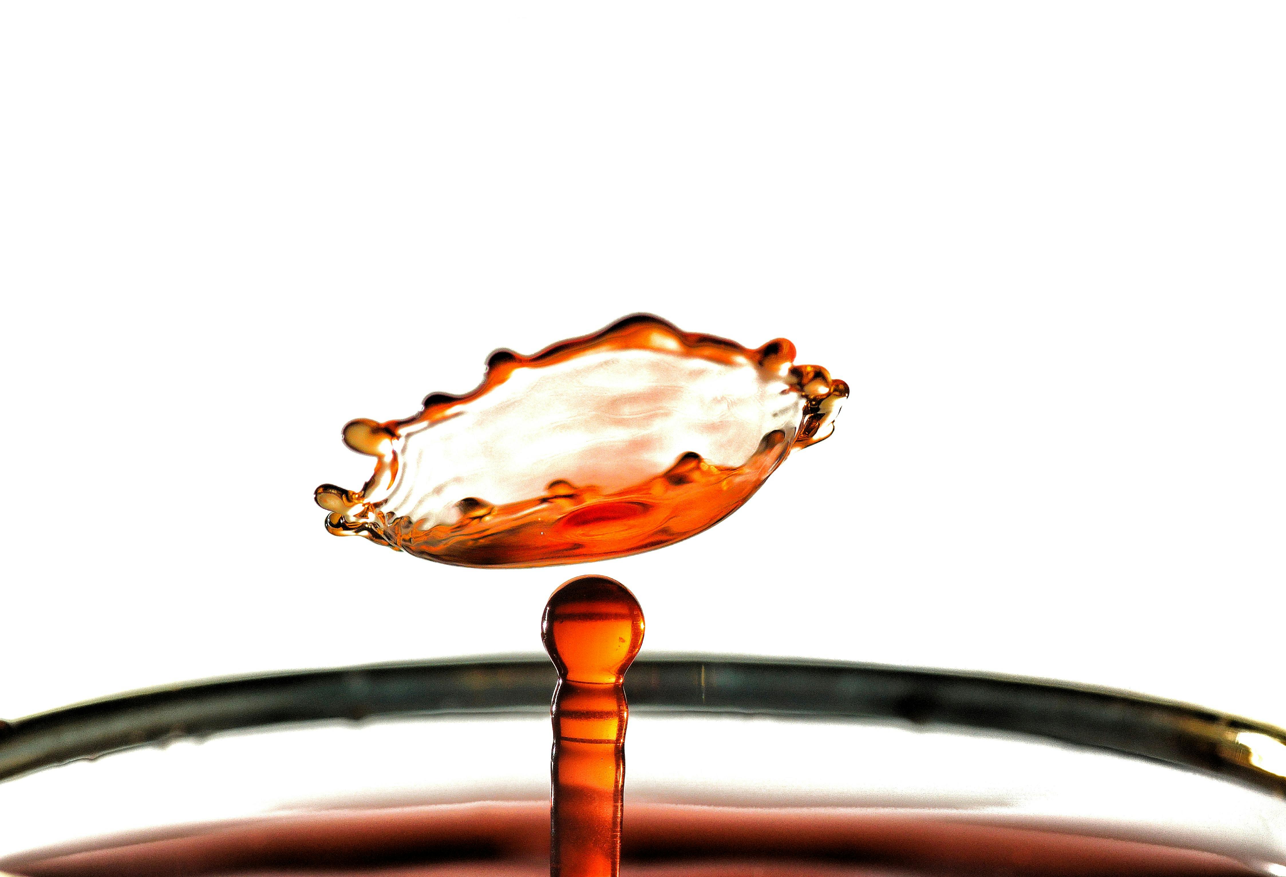 Dynamic macro photograph capturing a high-speed water splash resembling a mushroom shape.