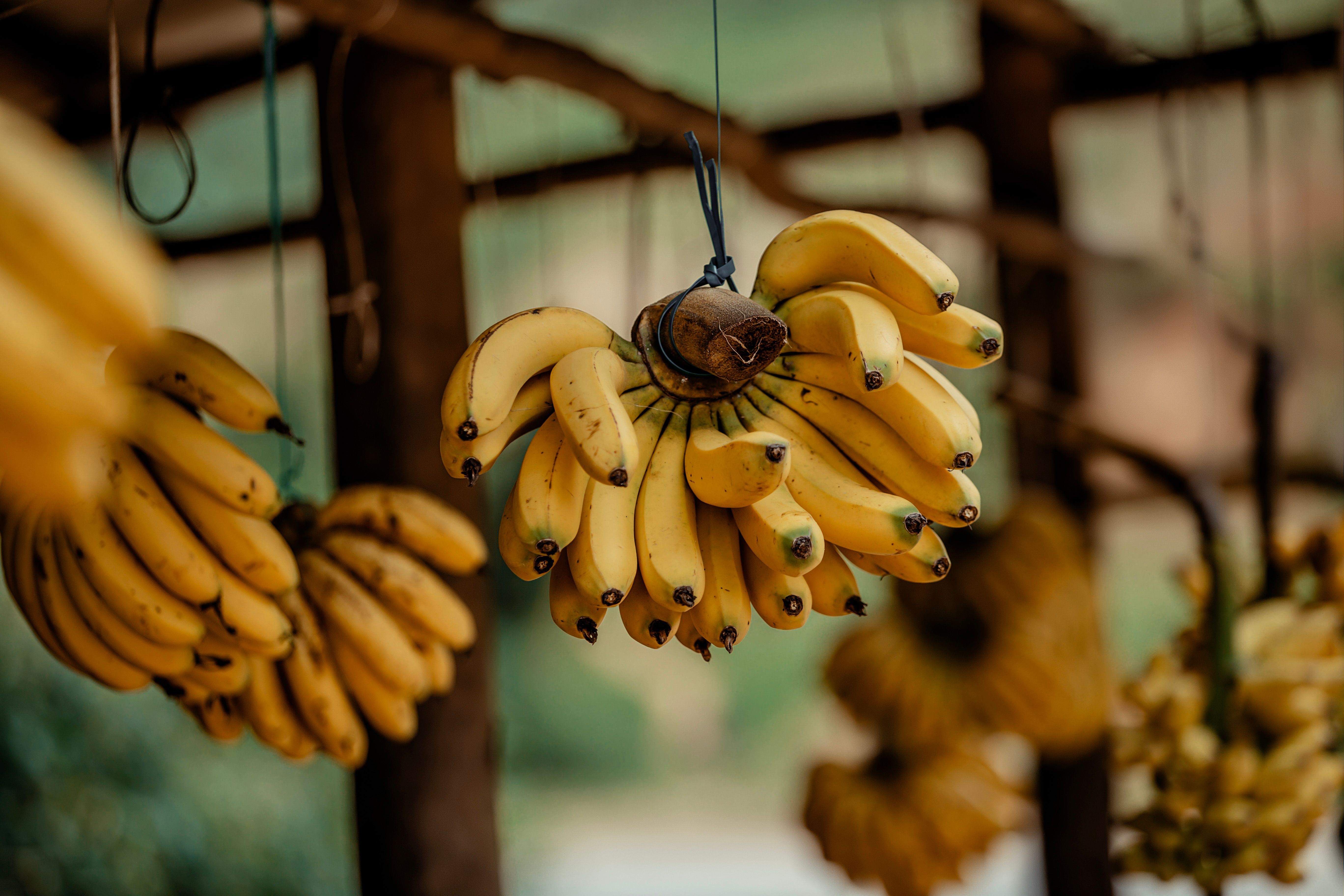 Banana — ingredient guide