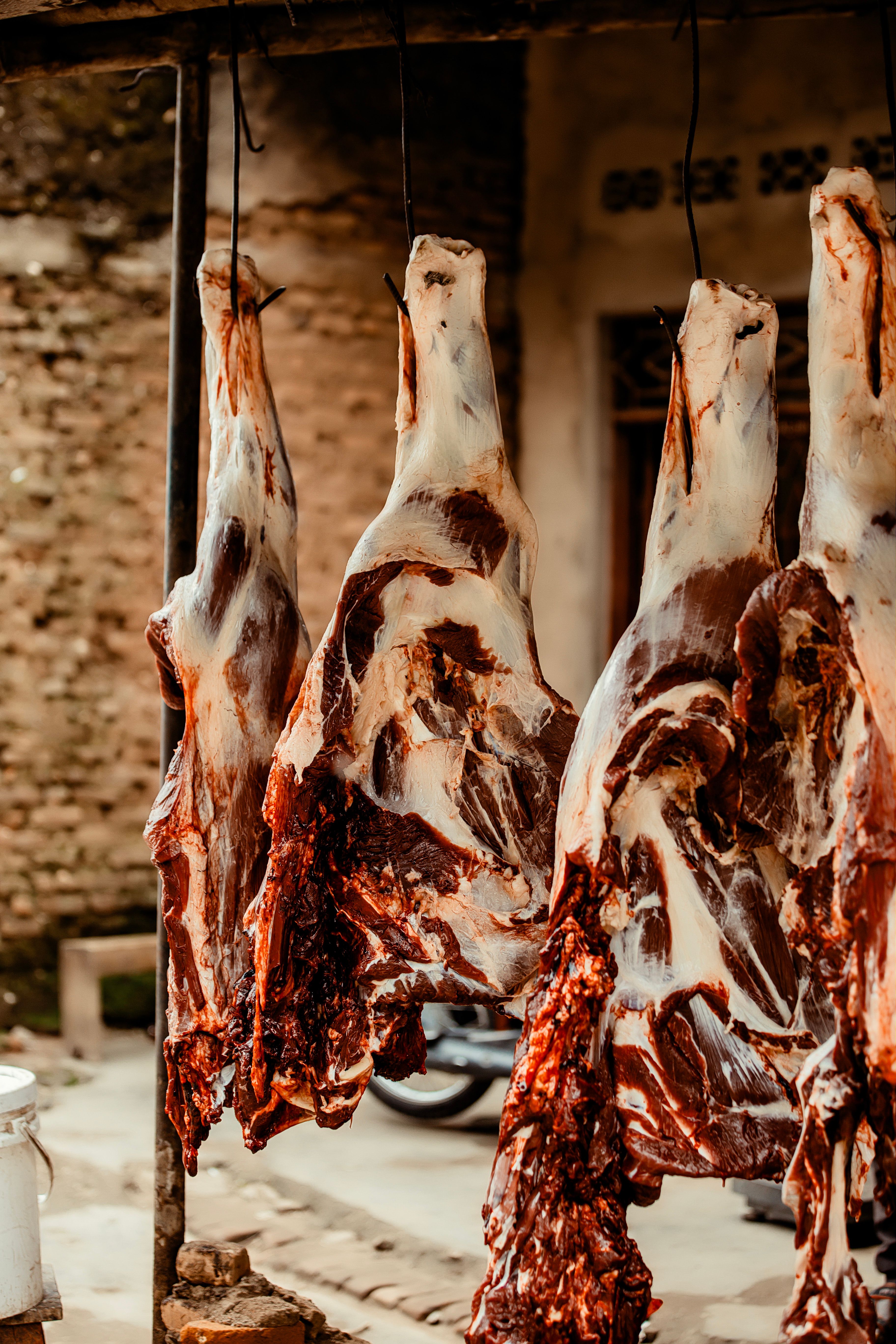 Goat Meat