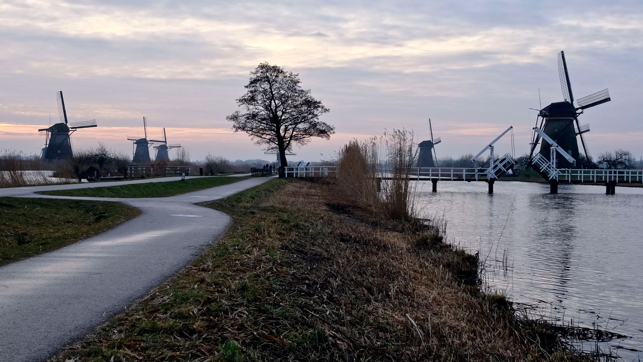Flinke weersomslag: temperatuur daalt met 18 graden