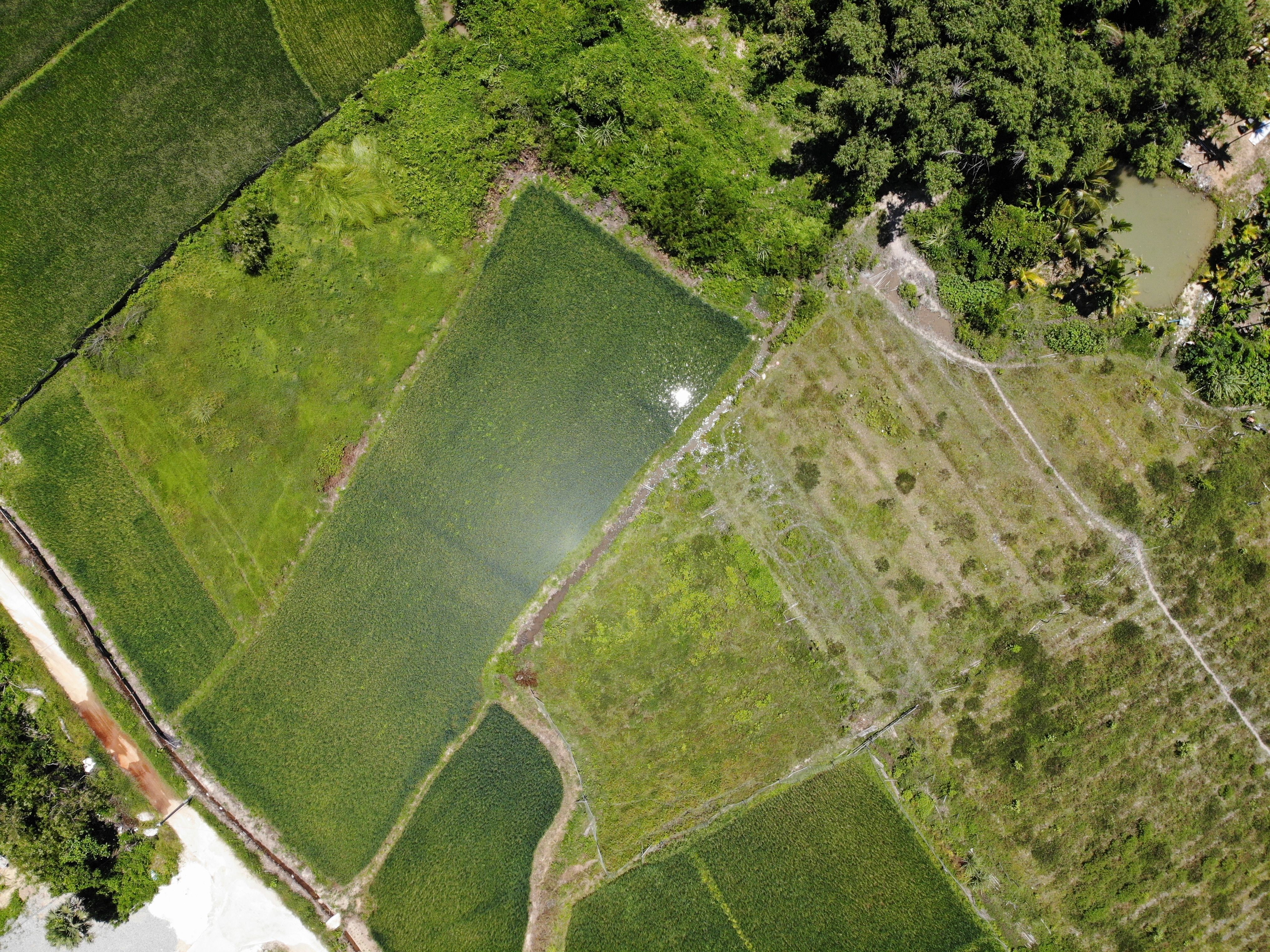 Agronomy trends: precision technology takes centre stage at COFS — Photo by Johnny Song on Pexels