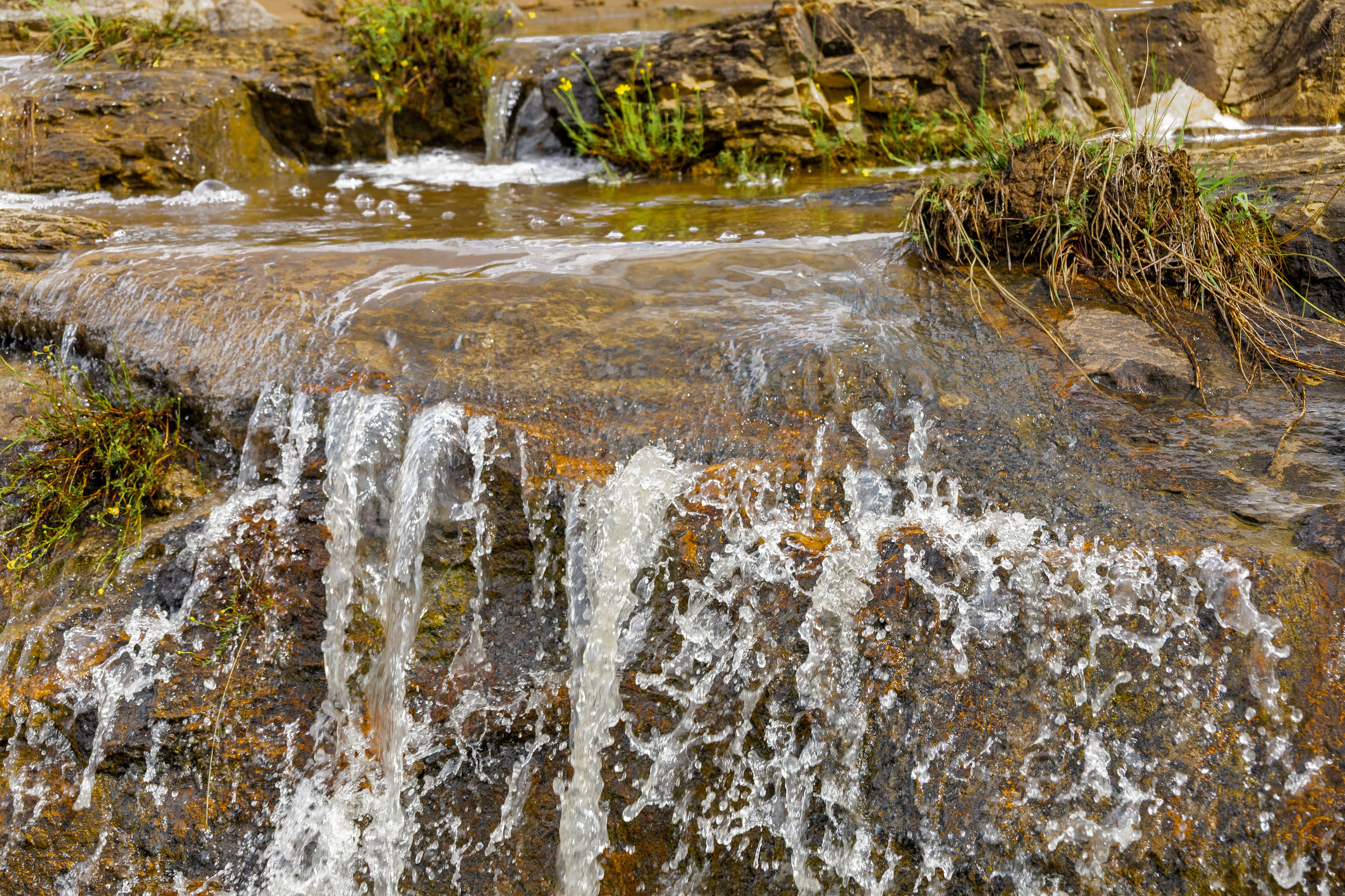 Rare bacteria in water traced to AI data center construction project — Photo by Ndumiso Mvelase on Pexels