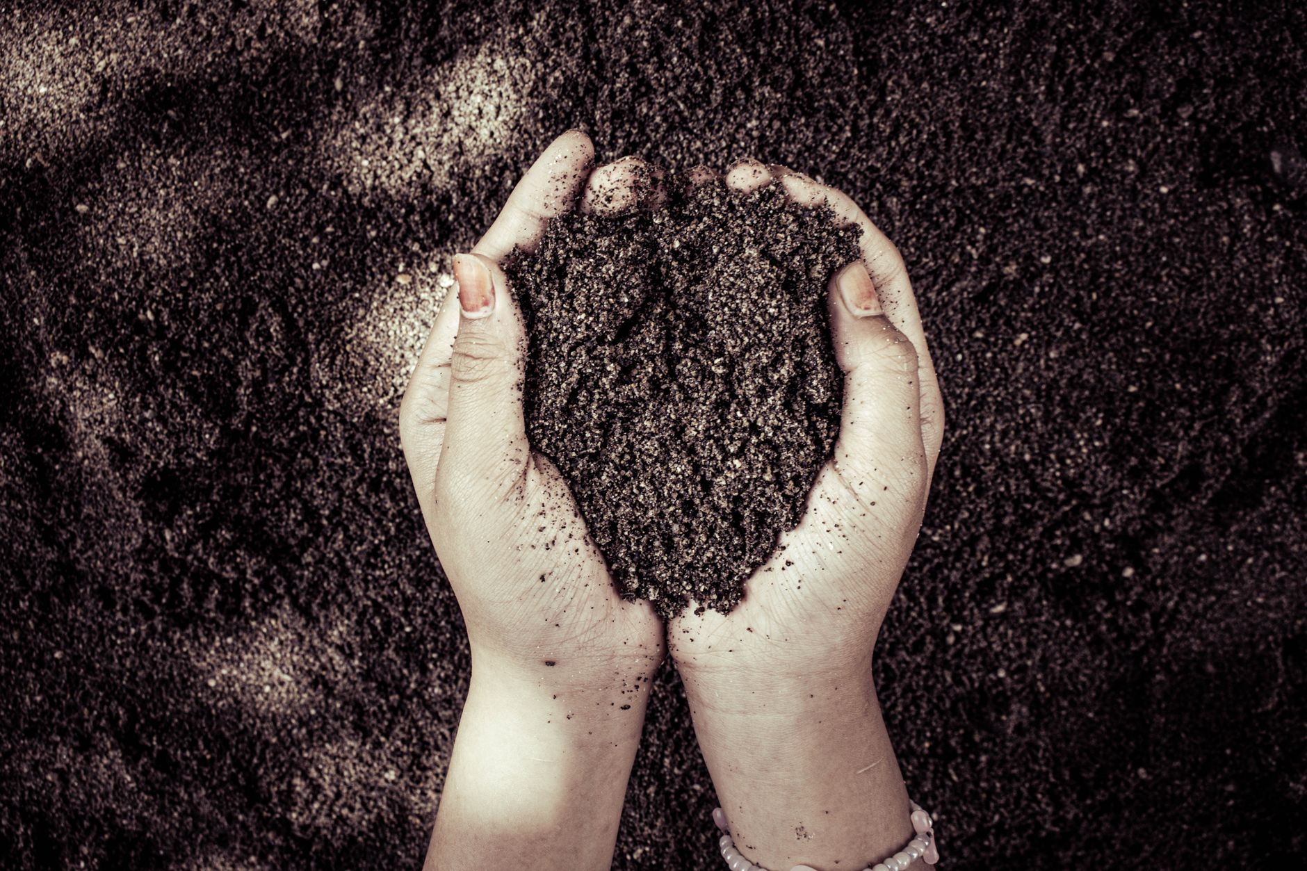soil ribbon test clay loam sand