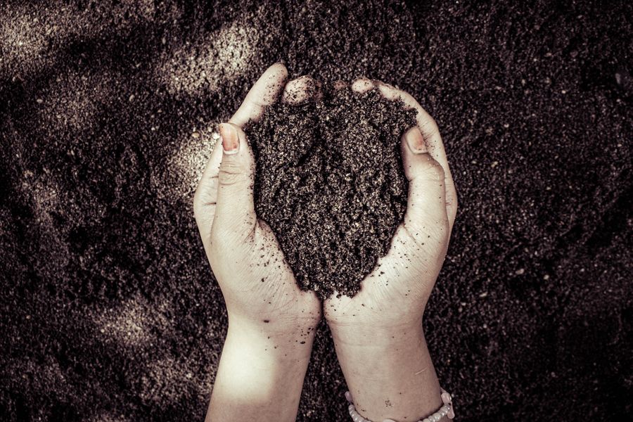 Biochar held in cupped hands over soil