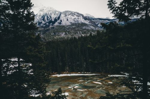 Free Panoramic view of snowy mountains and forest in Field, British Columbia, Canada. Stock Photo
