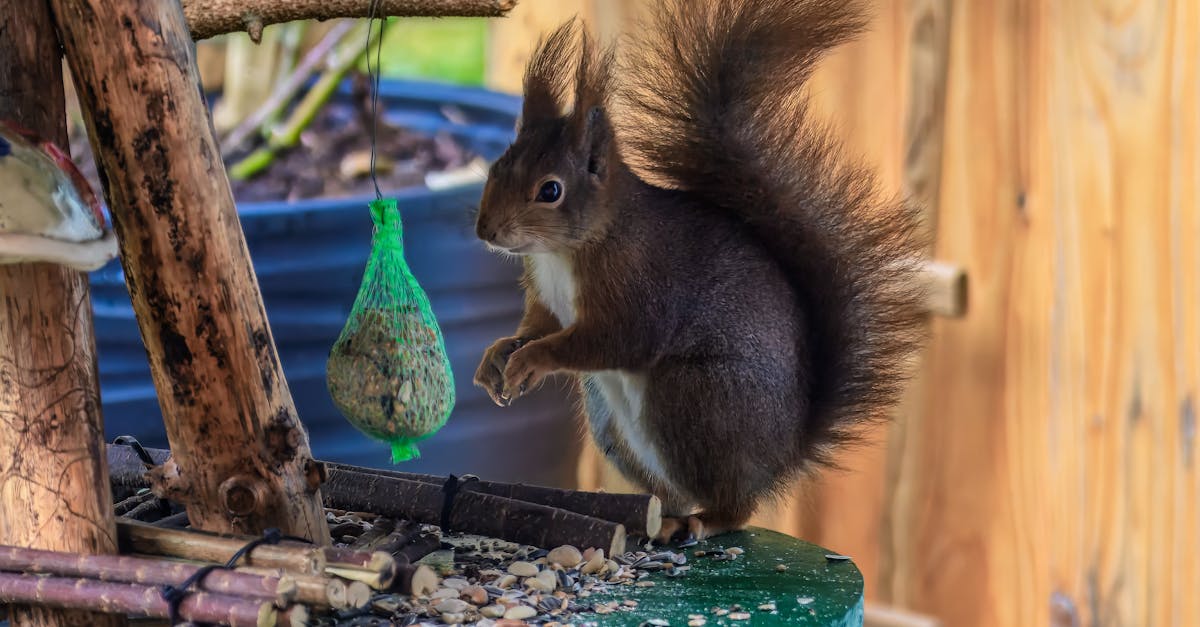竹市「綠蛇消費購新潮」4/12起登場!邱臣遠邀市民共創綠生活