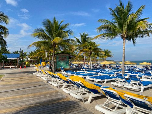Free Serene tropical beach scene with palm trees, sun loungers, and a clear blue sky in Belize. Stock Photo